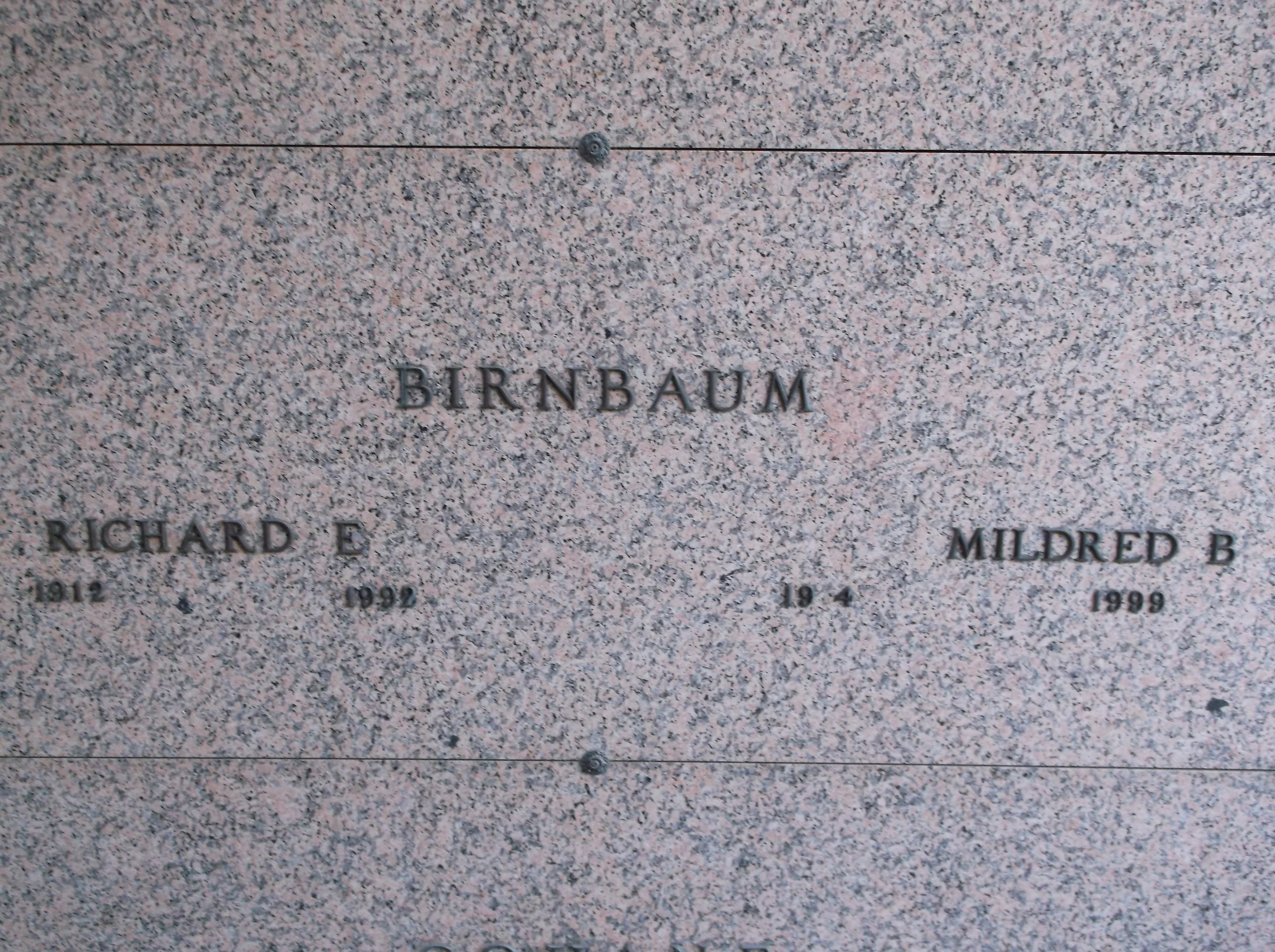 Richard E Birnbaum
