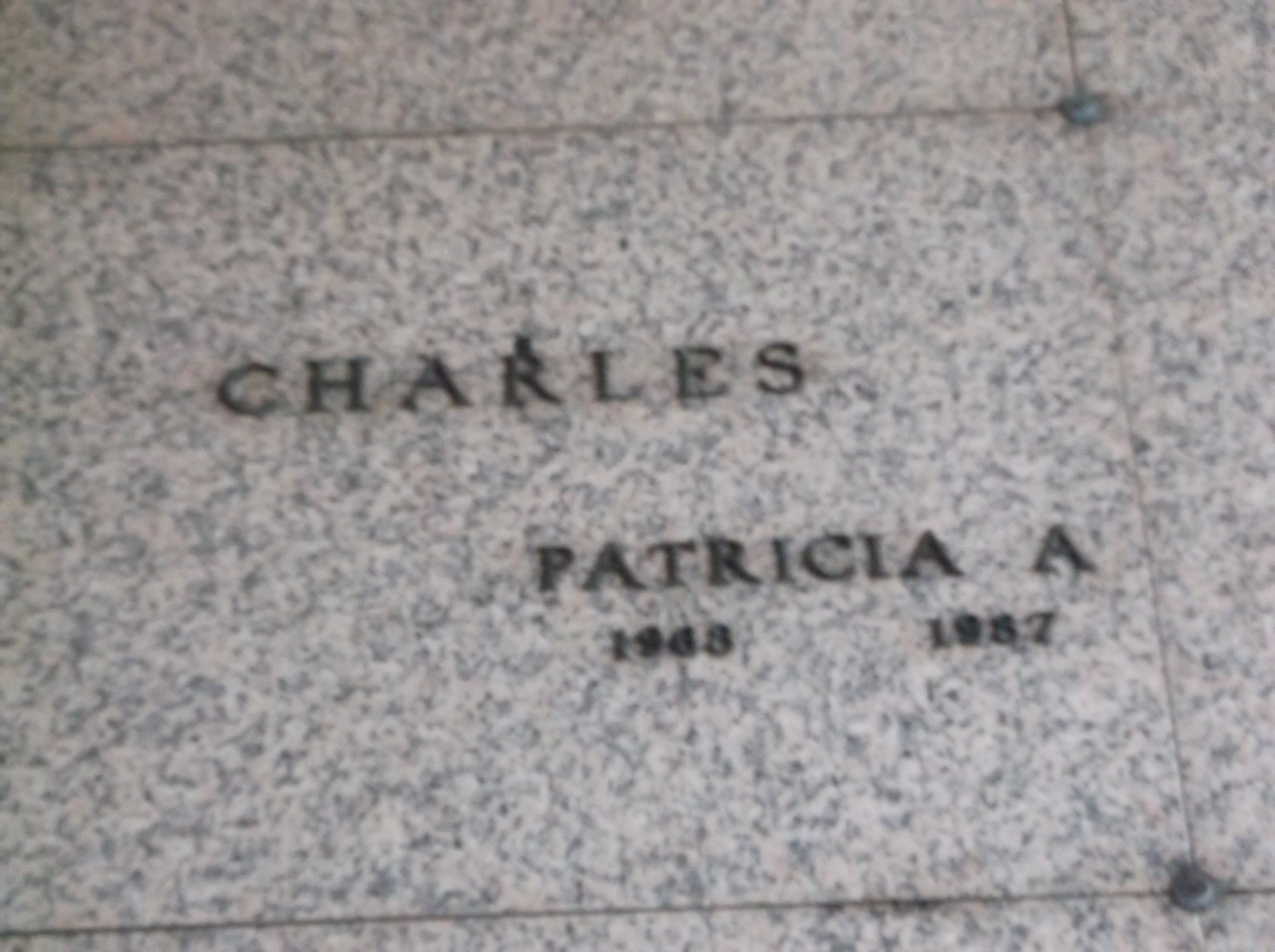 Patricia A Charles