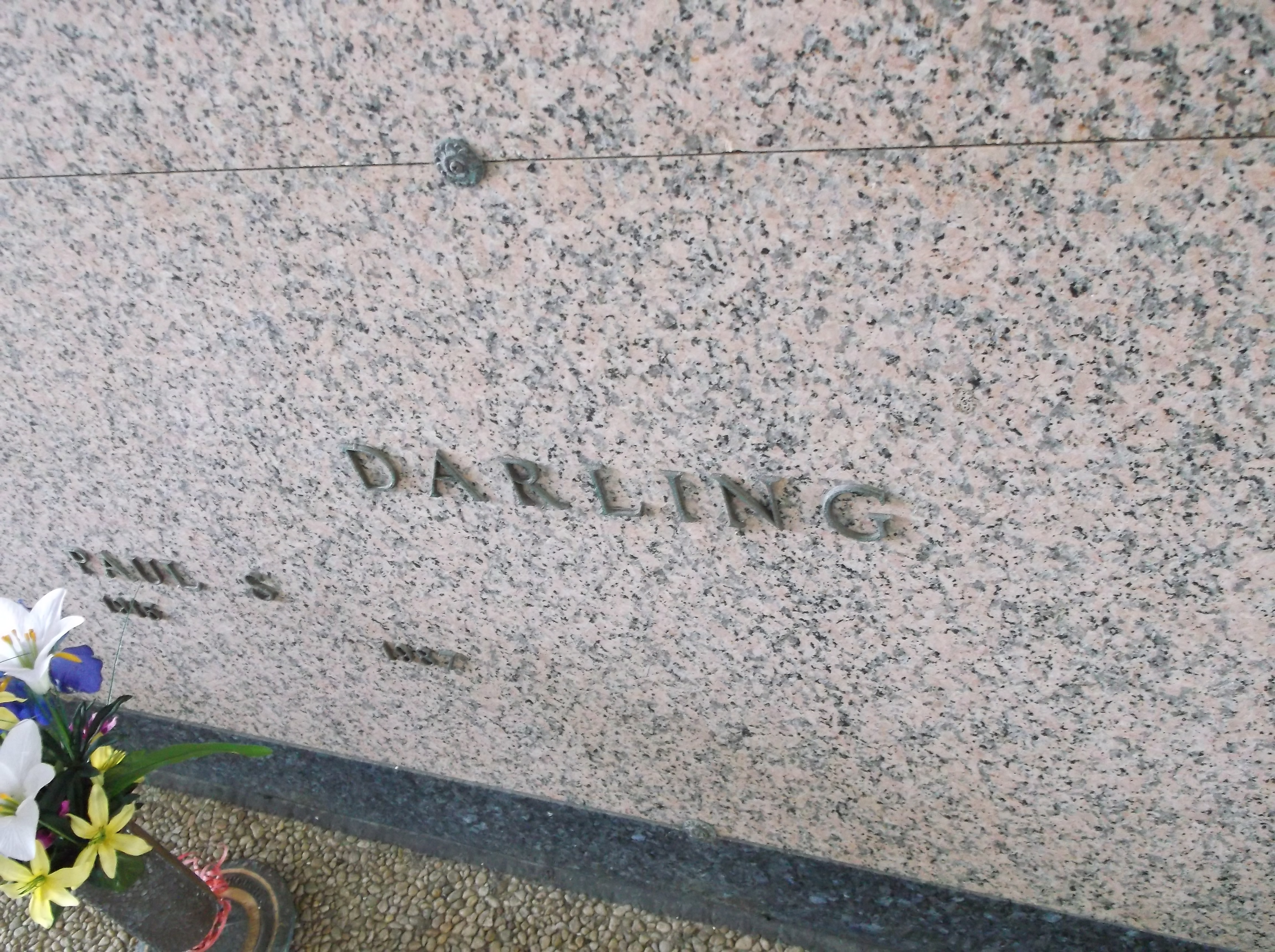 Paul S Darling