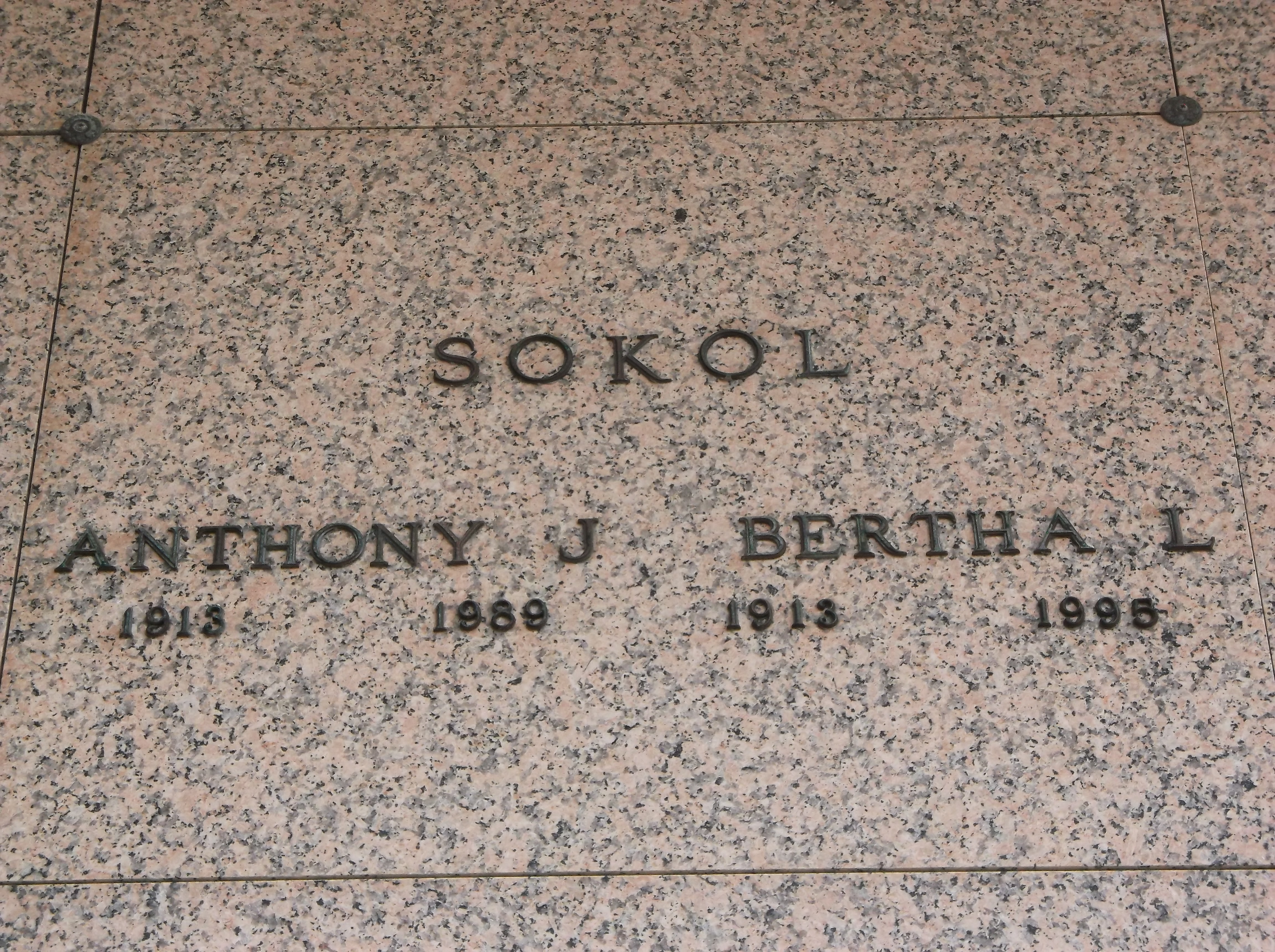 Bertha L Sokol