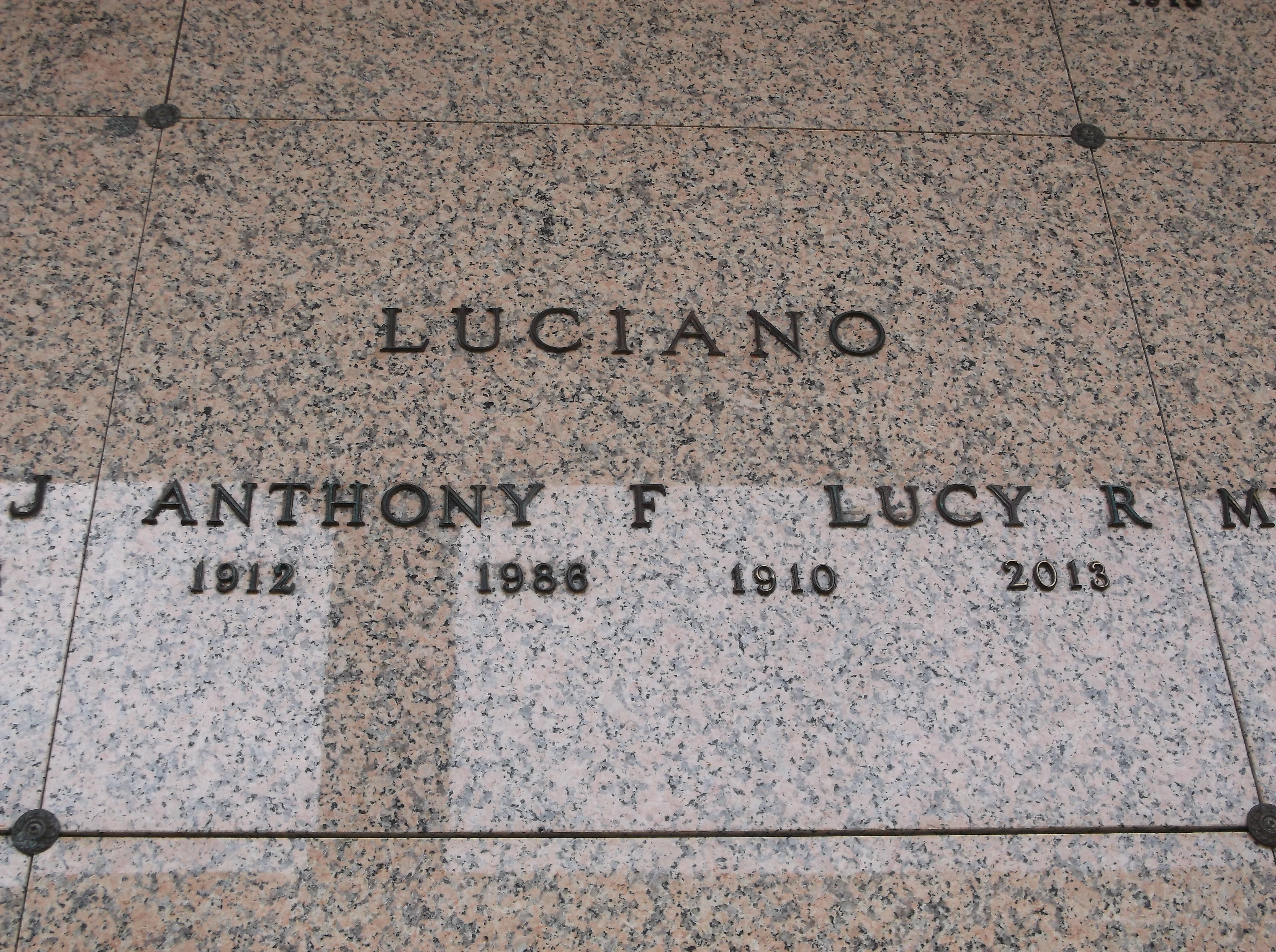 Lucy R Luciano