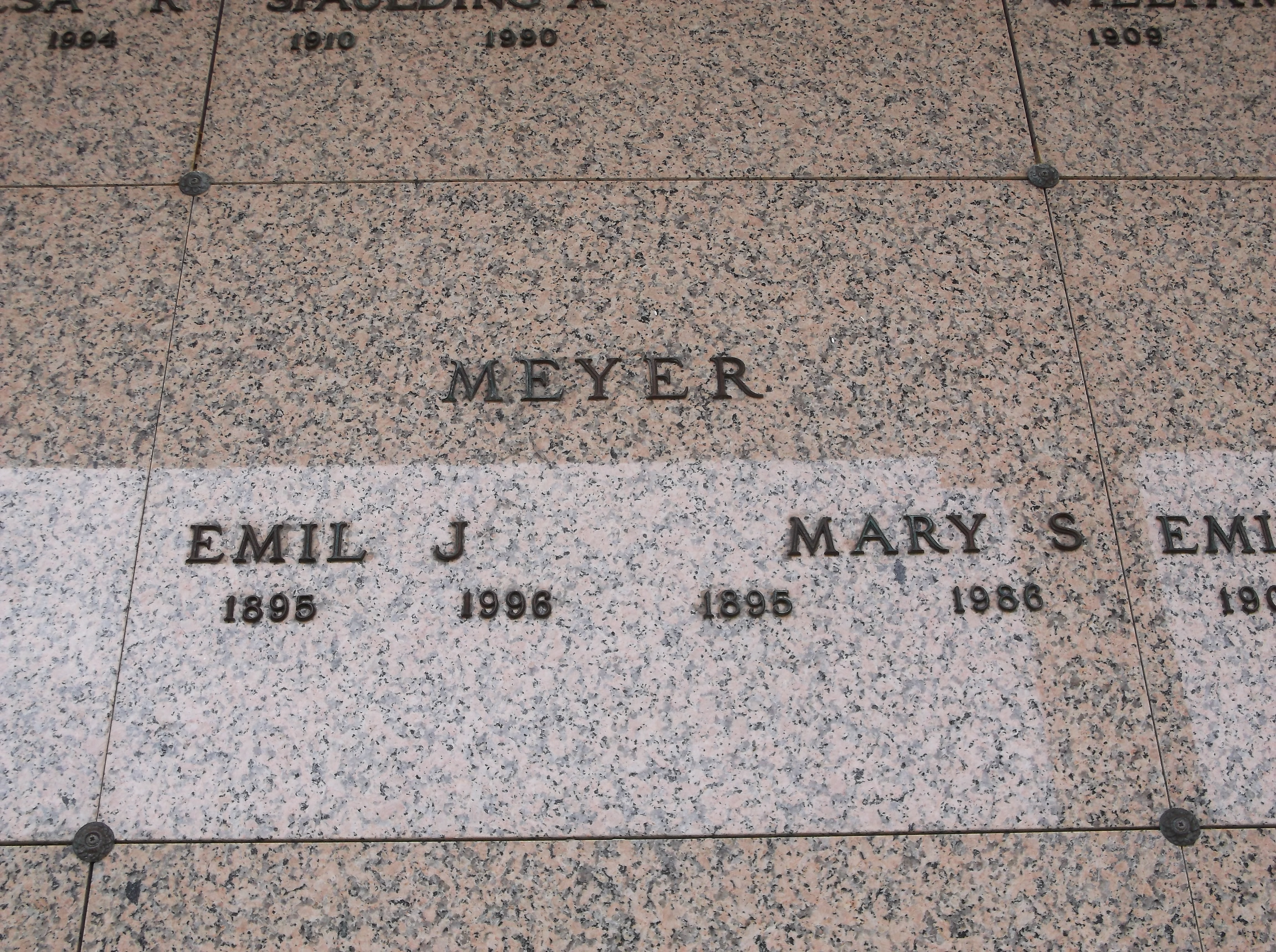 Mary S Meyer