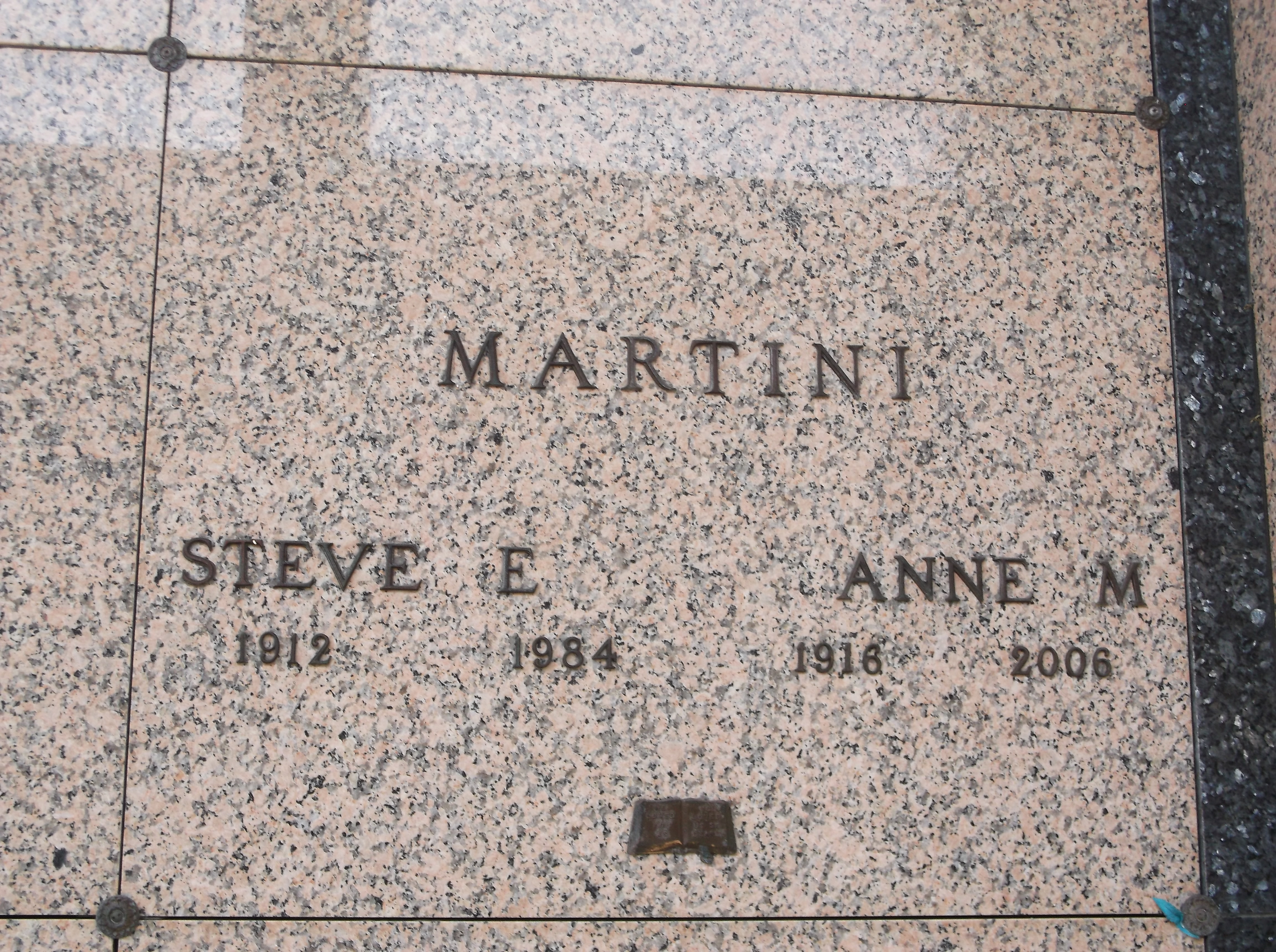 Steve E Martini