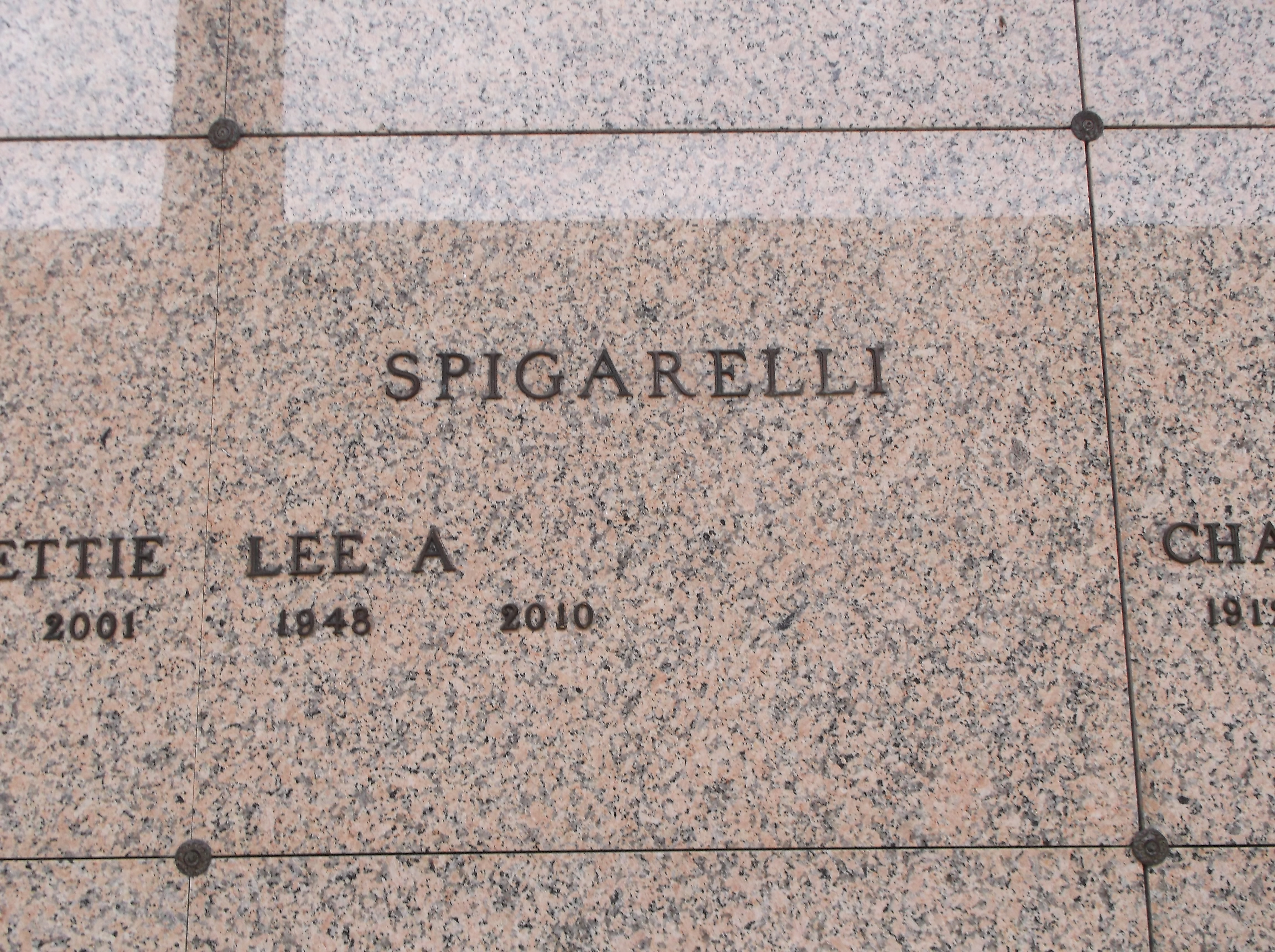 Lee A Spigarelli