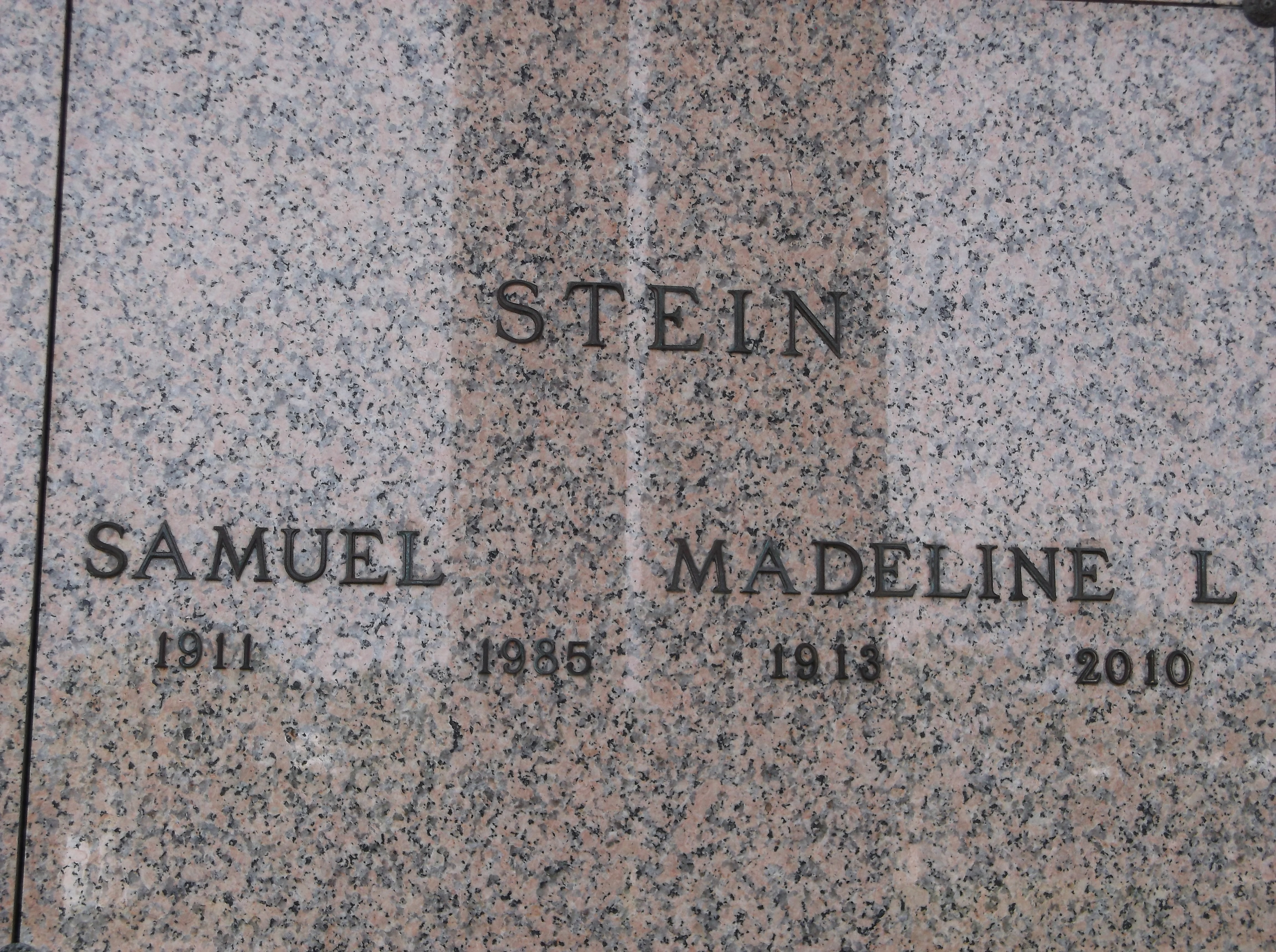 Madeline L Stein