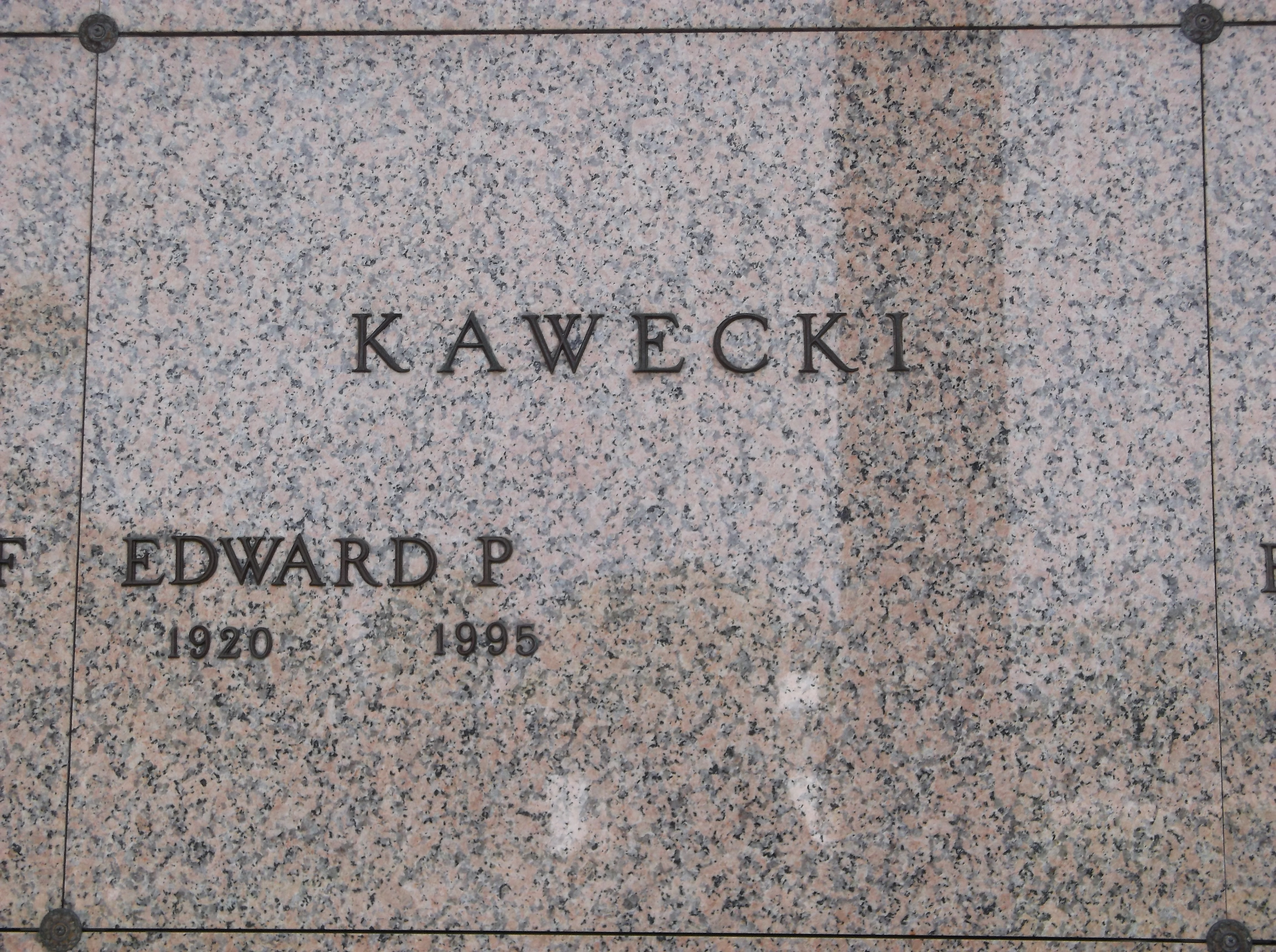 Edward P Kawecki