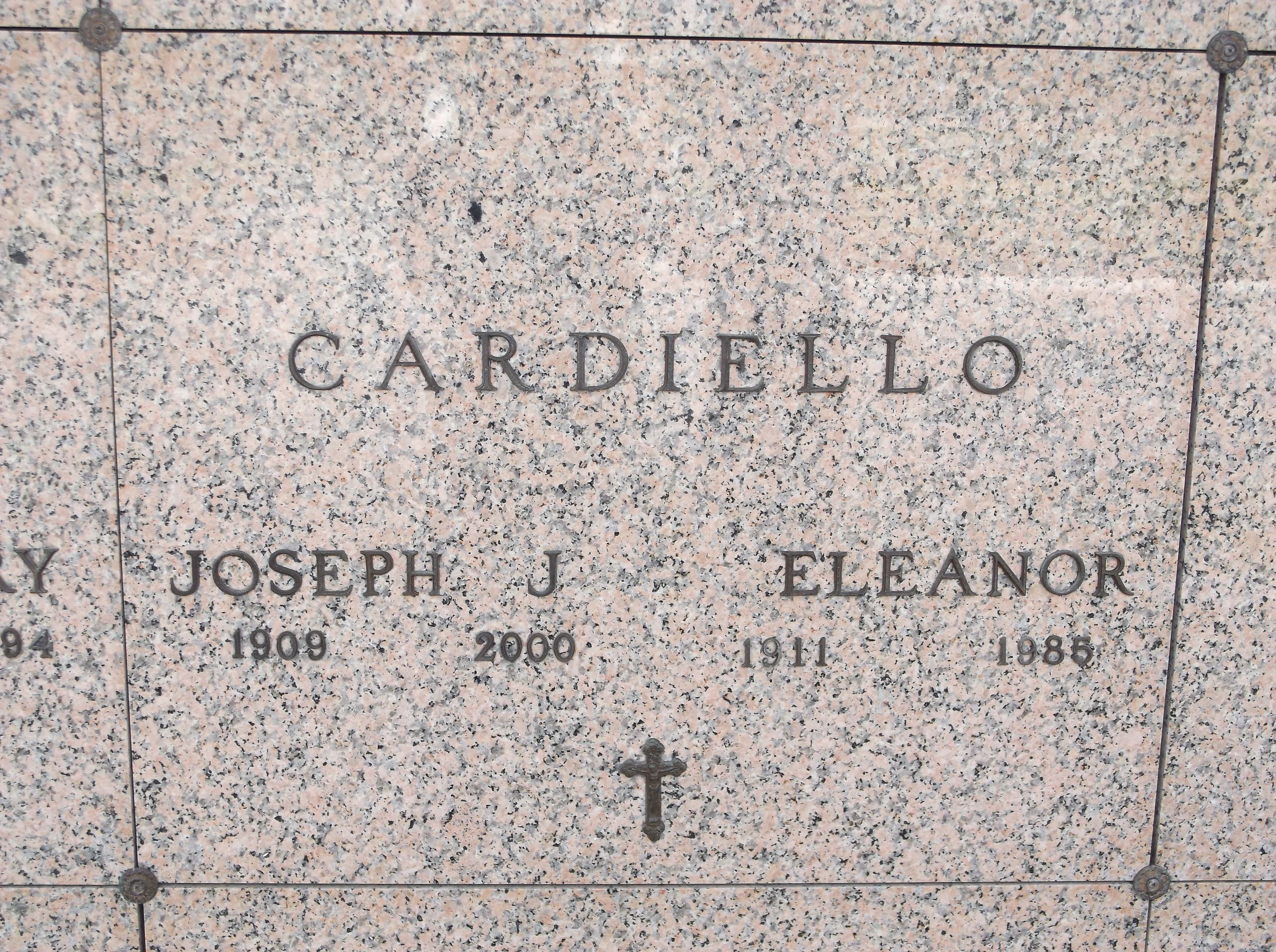 Eleanor Cardiello