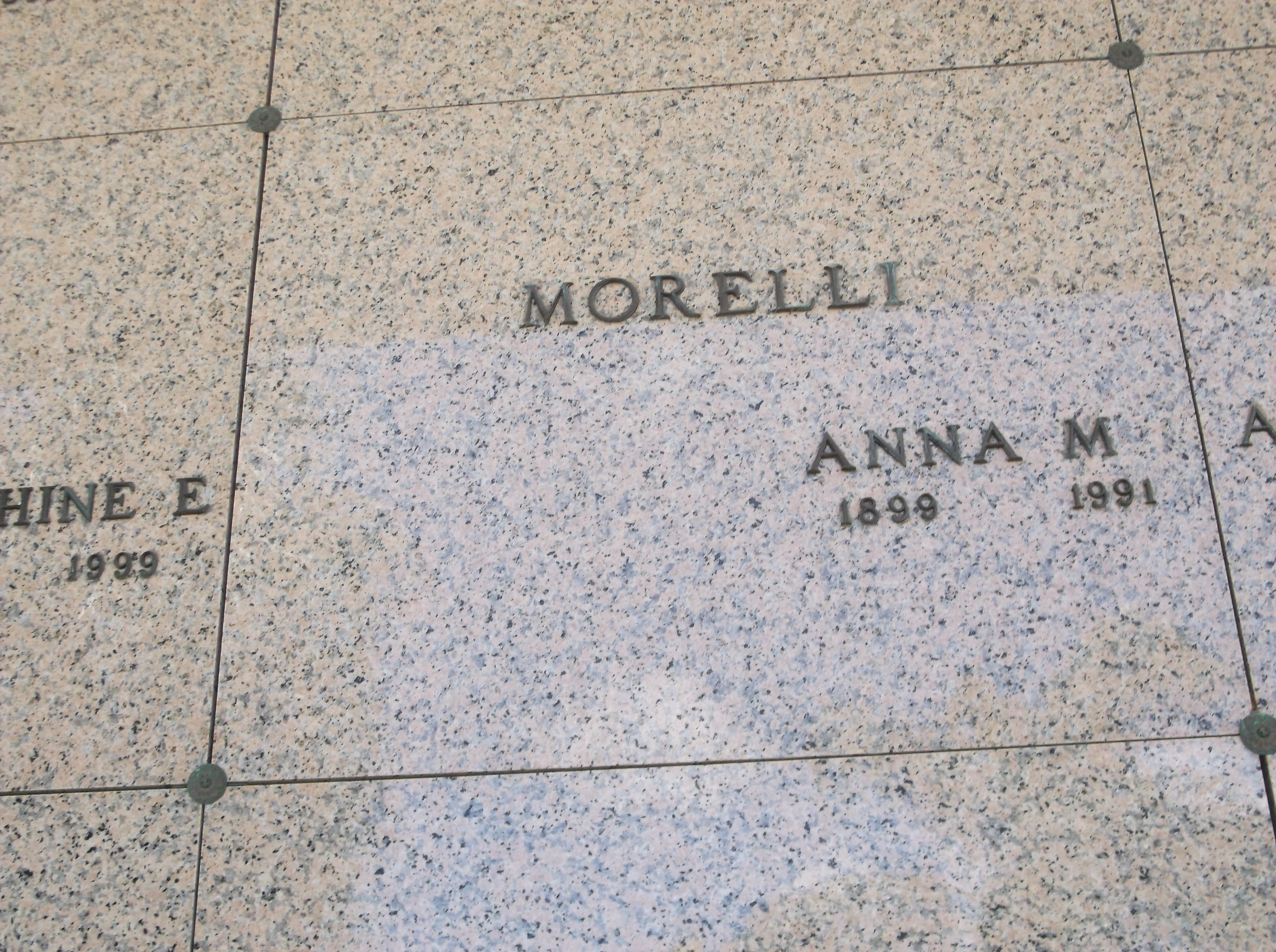 Anna M Morelli