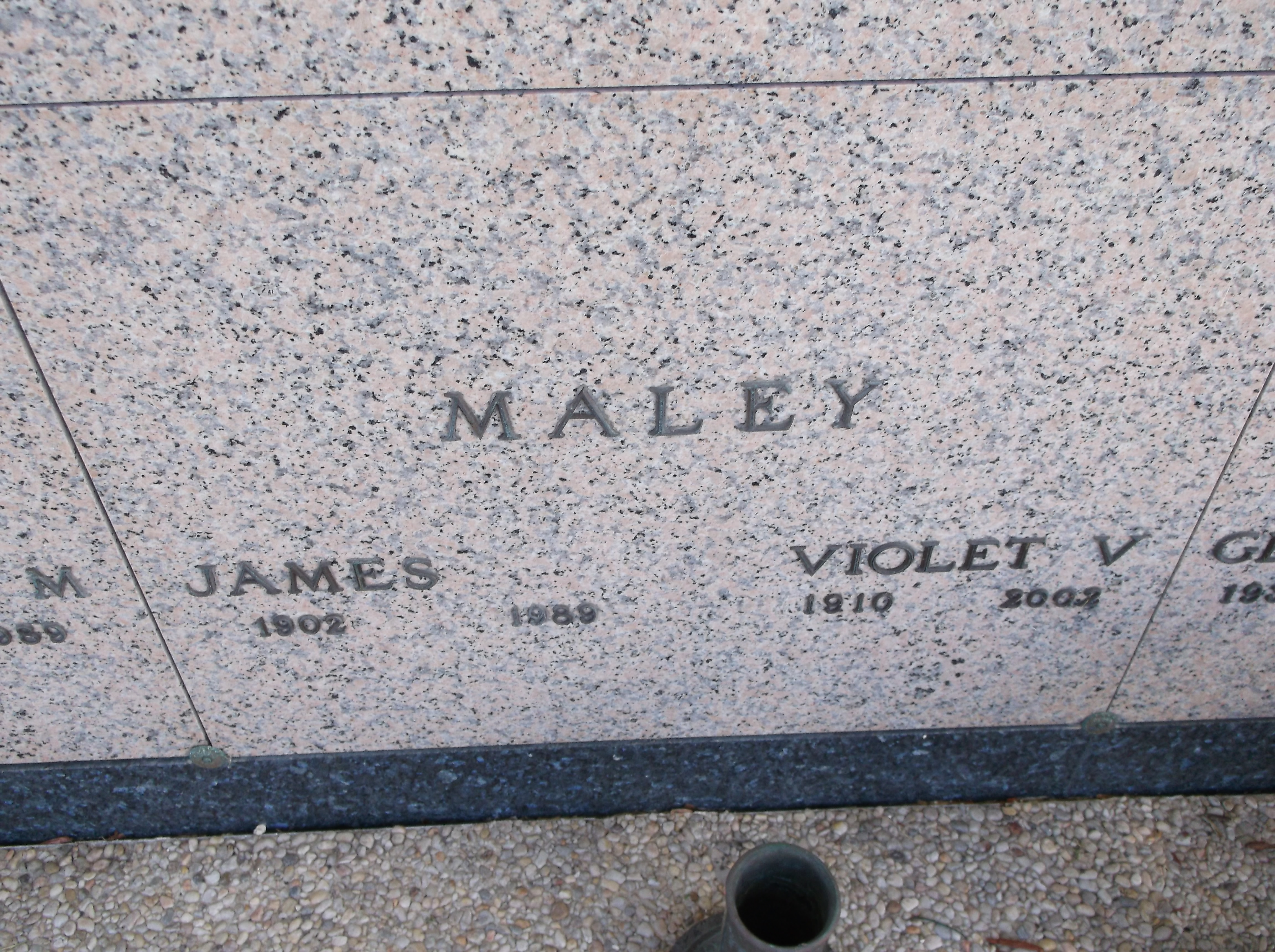 Violet V Maley