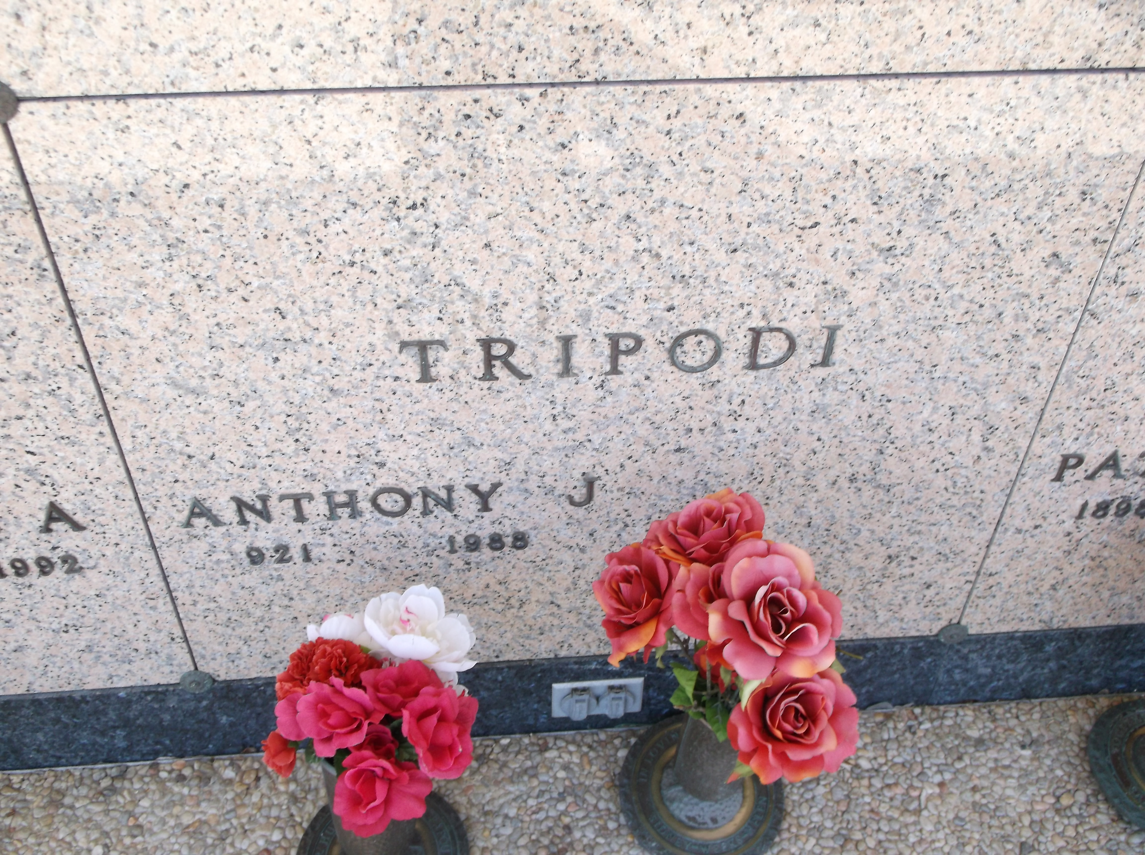 Anthony J Tripodi