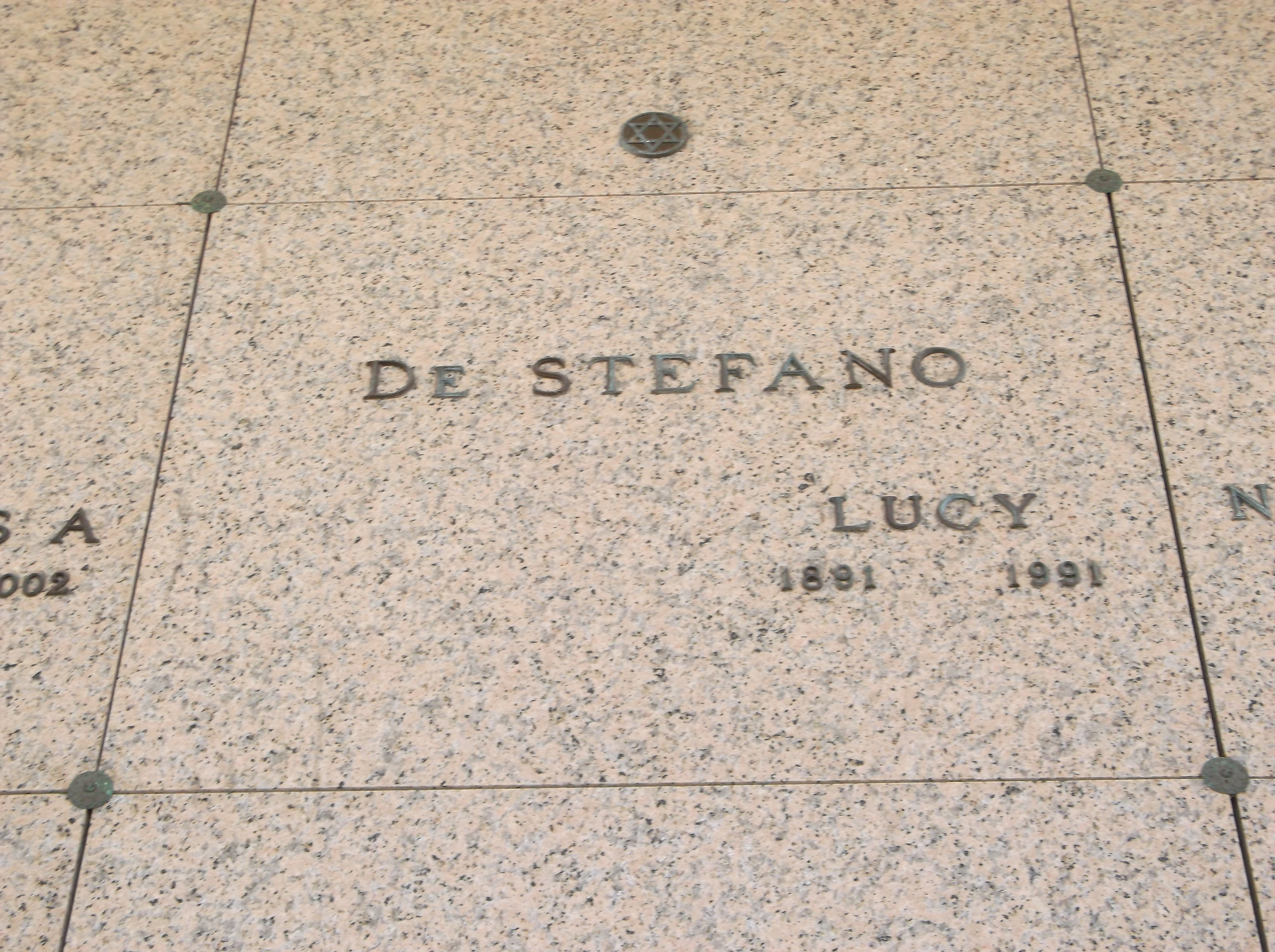 Lucy De Stefano