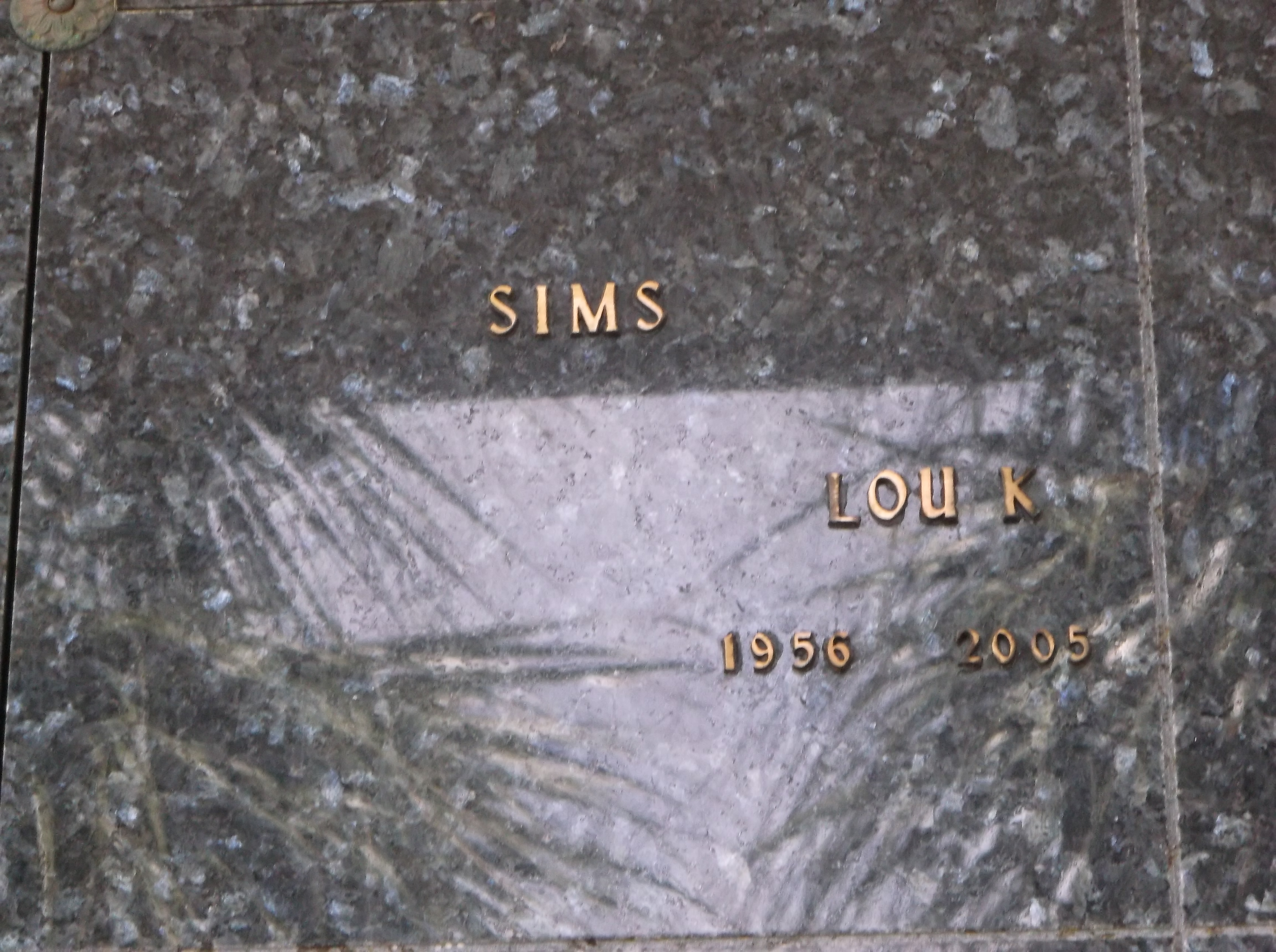 Lou K Sims