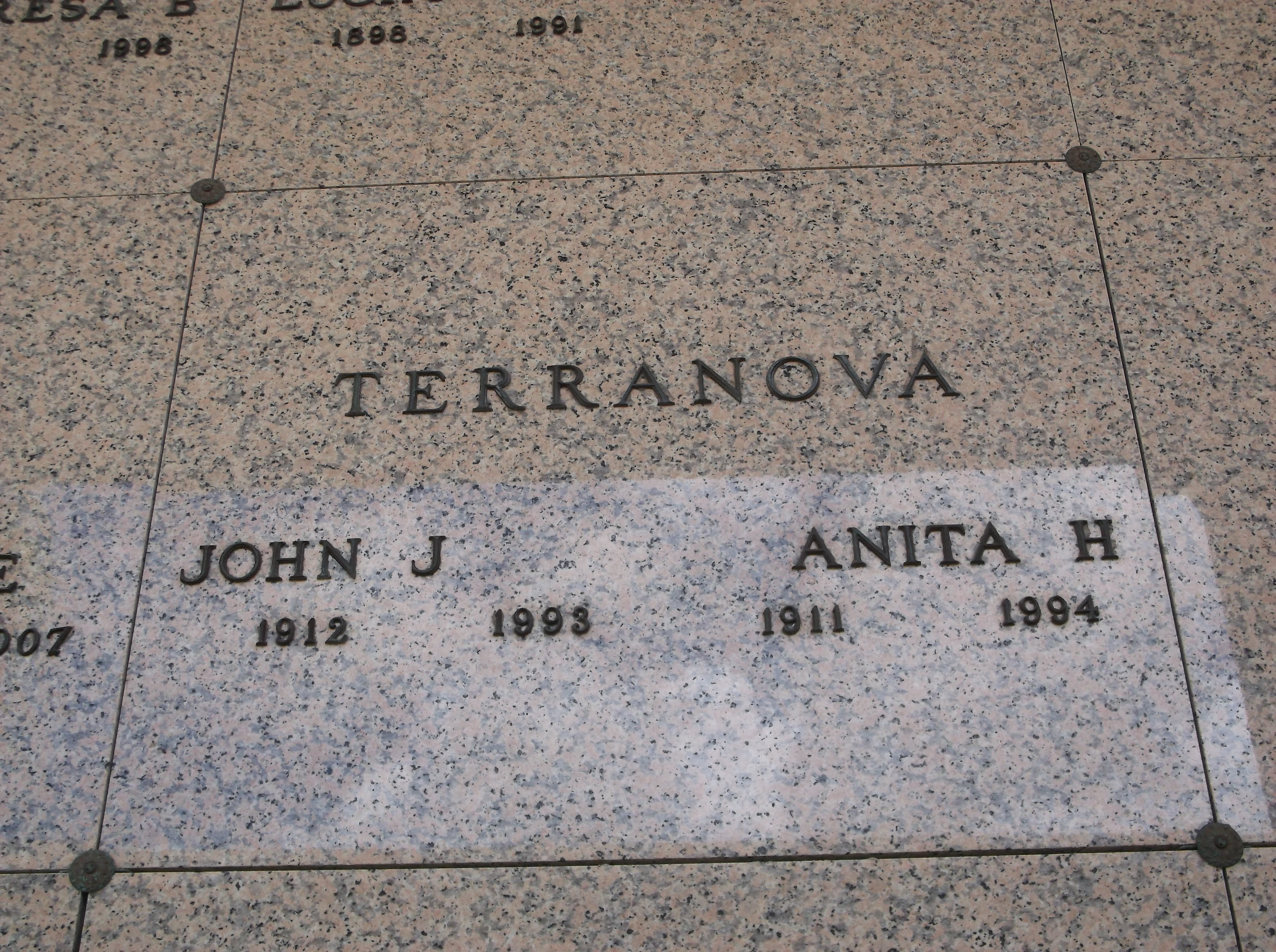 Anita H Terranova
