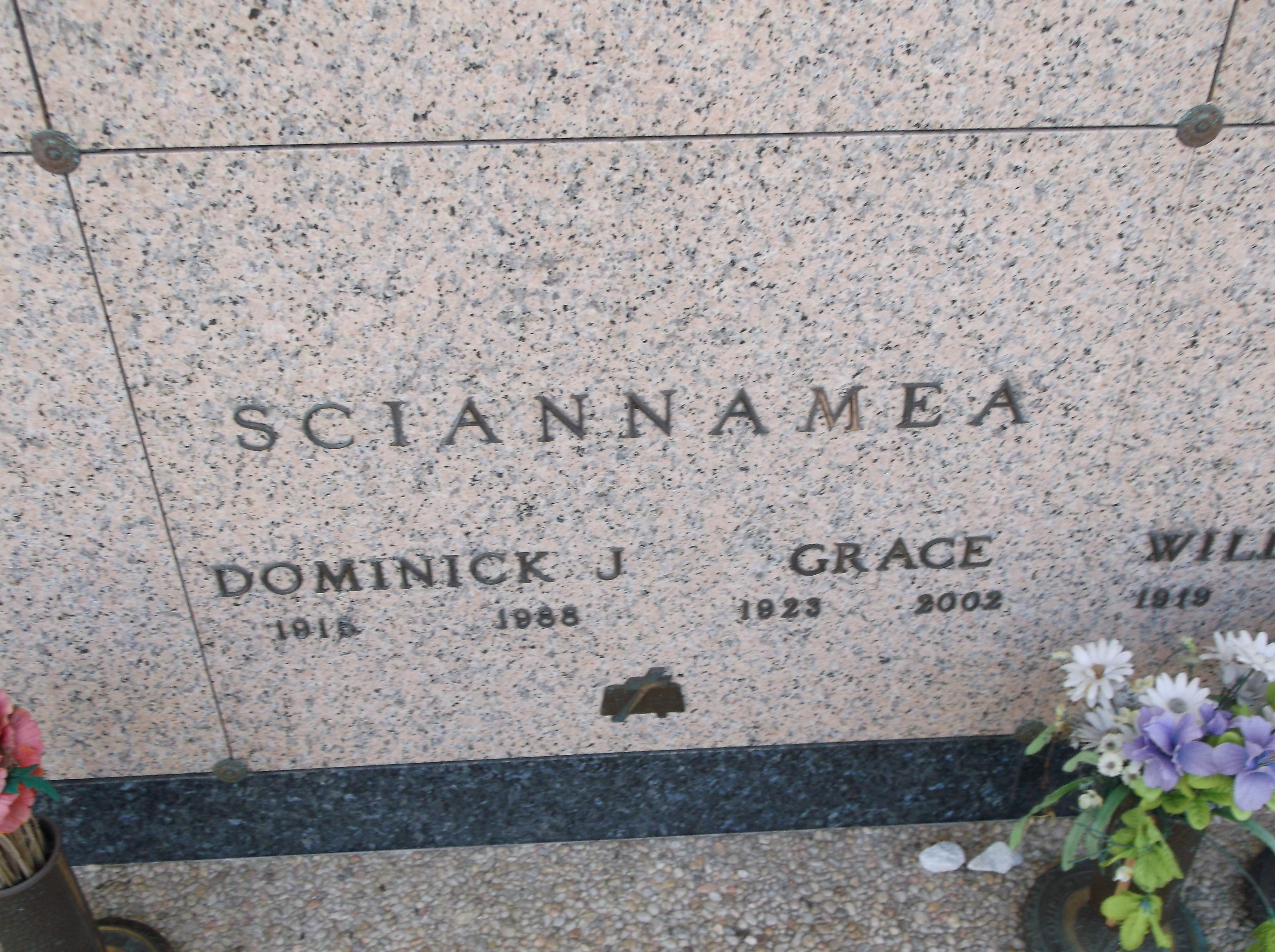 Grace Sciannamea