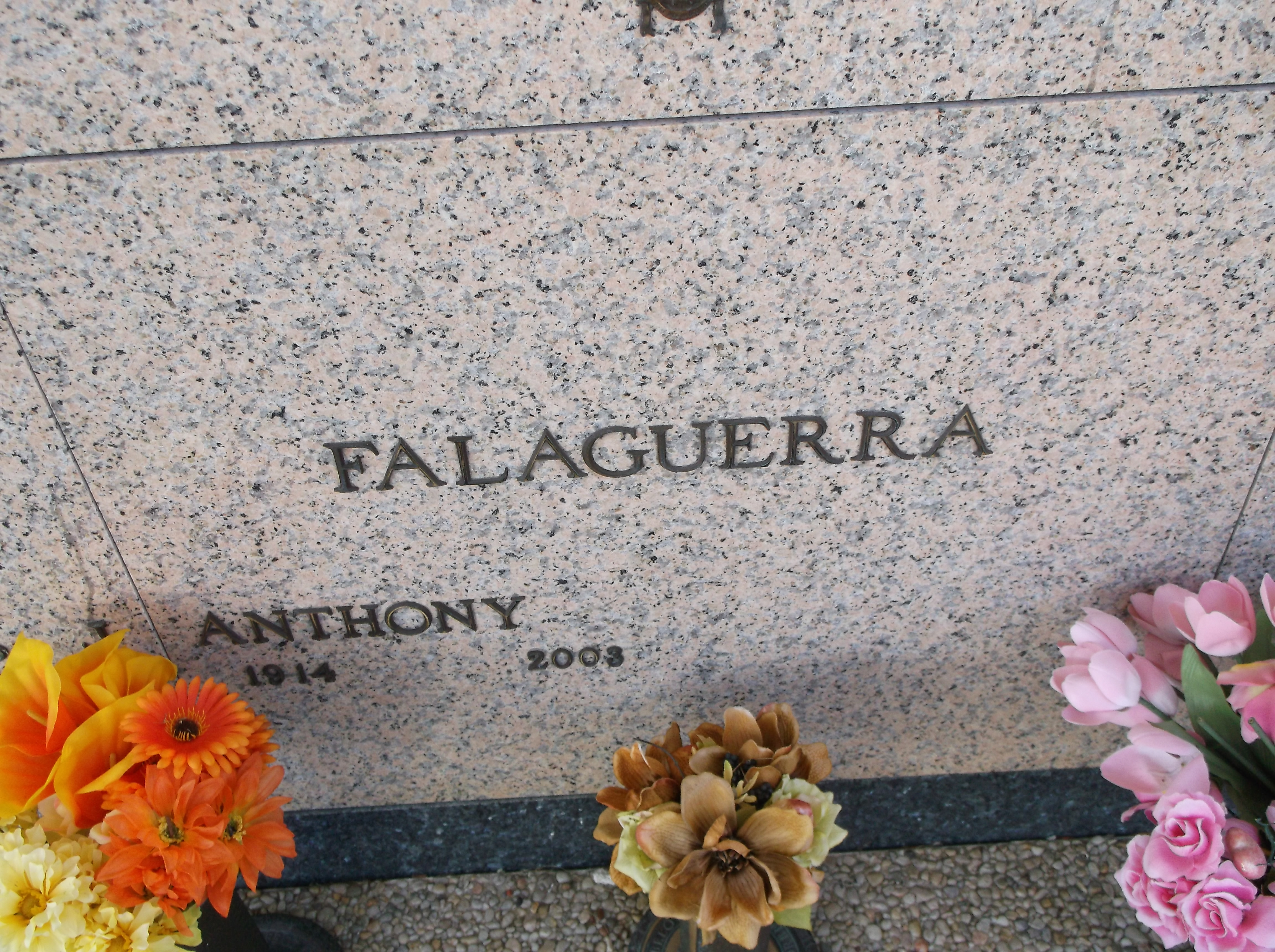 Anthony Falaguerra