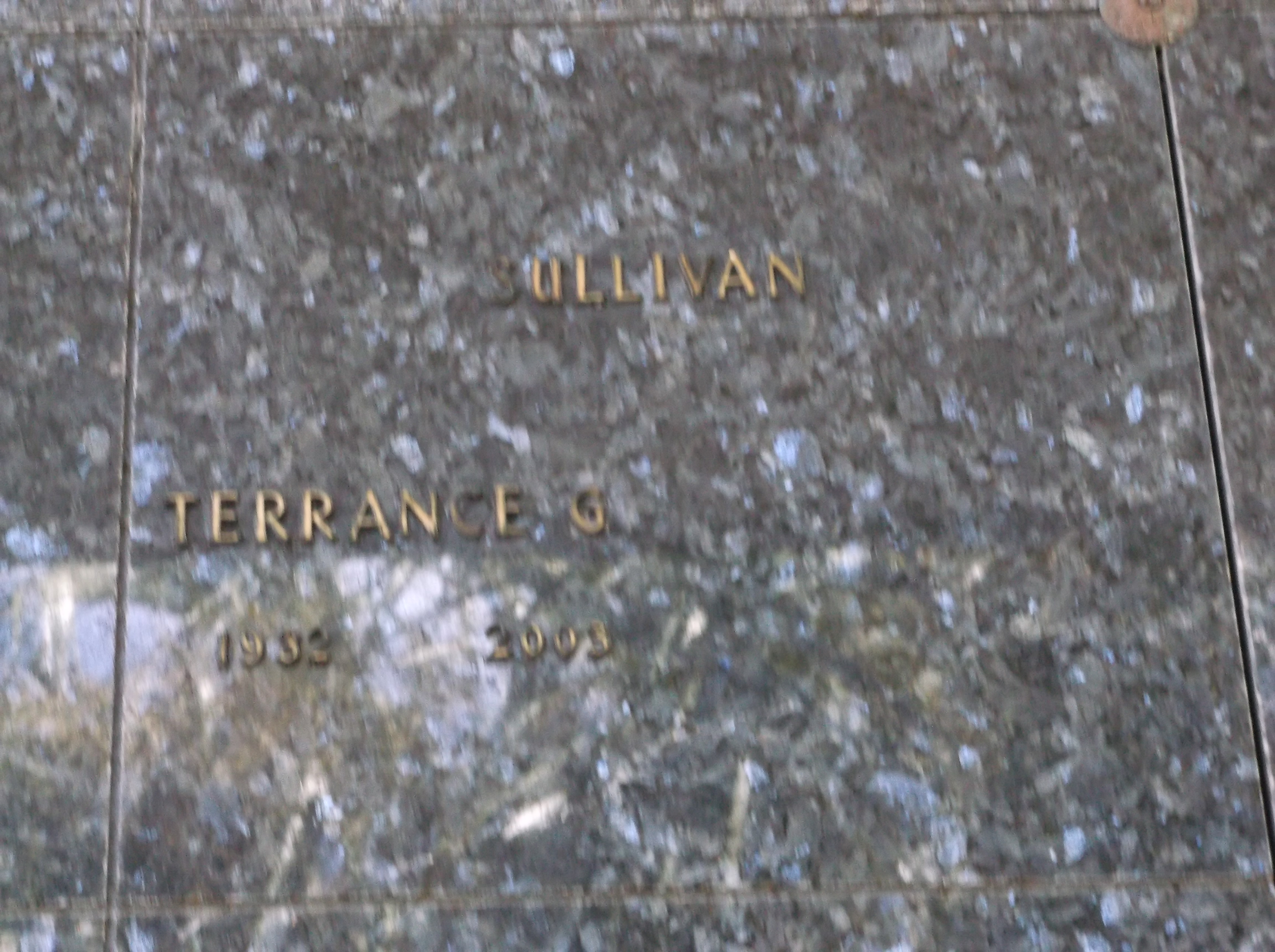 Terrance G Sullivan