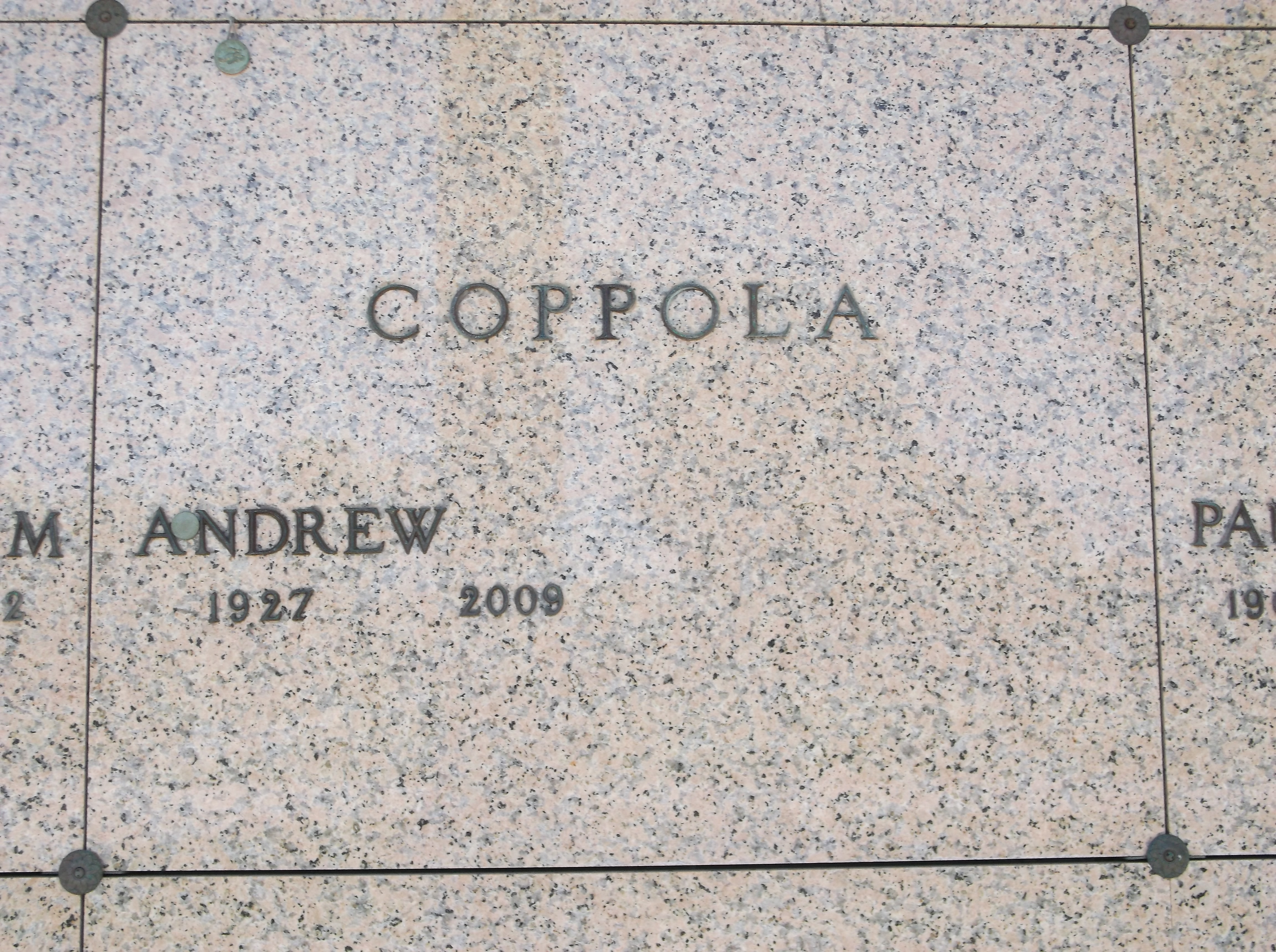 Andrew Coppola
