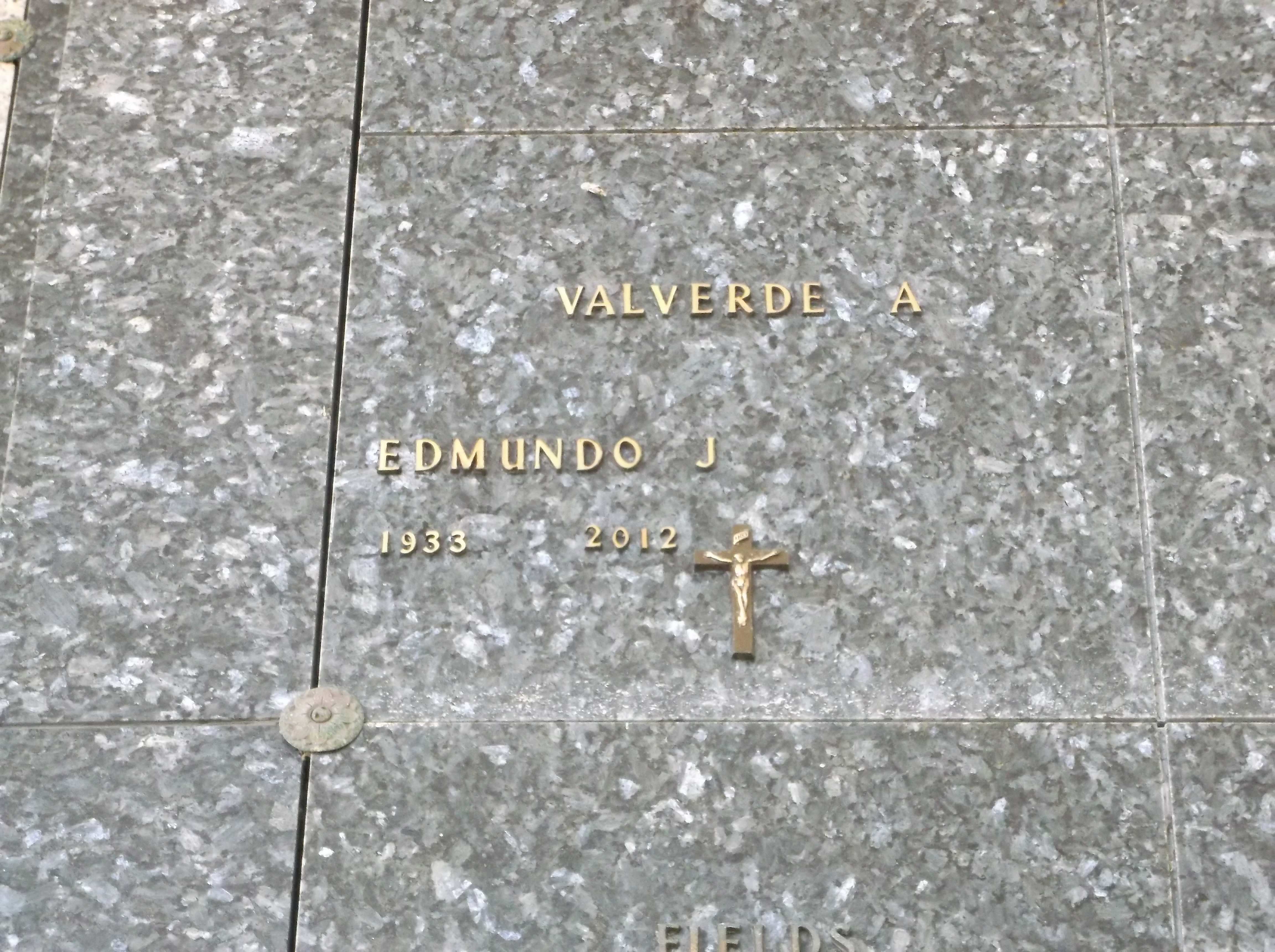 Edmundo J Valverde