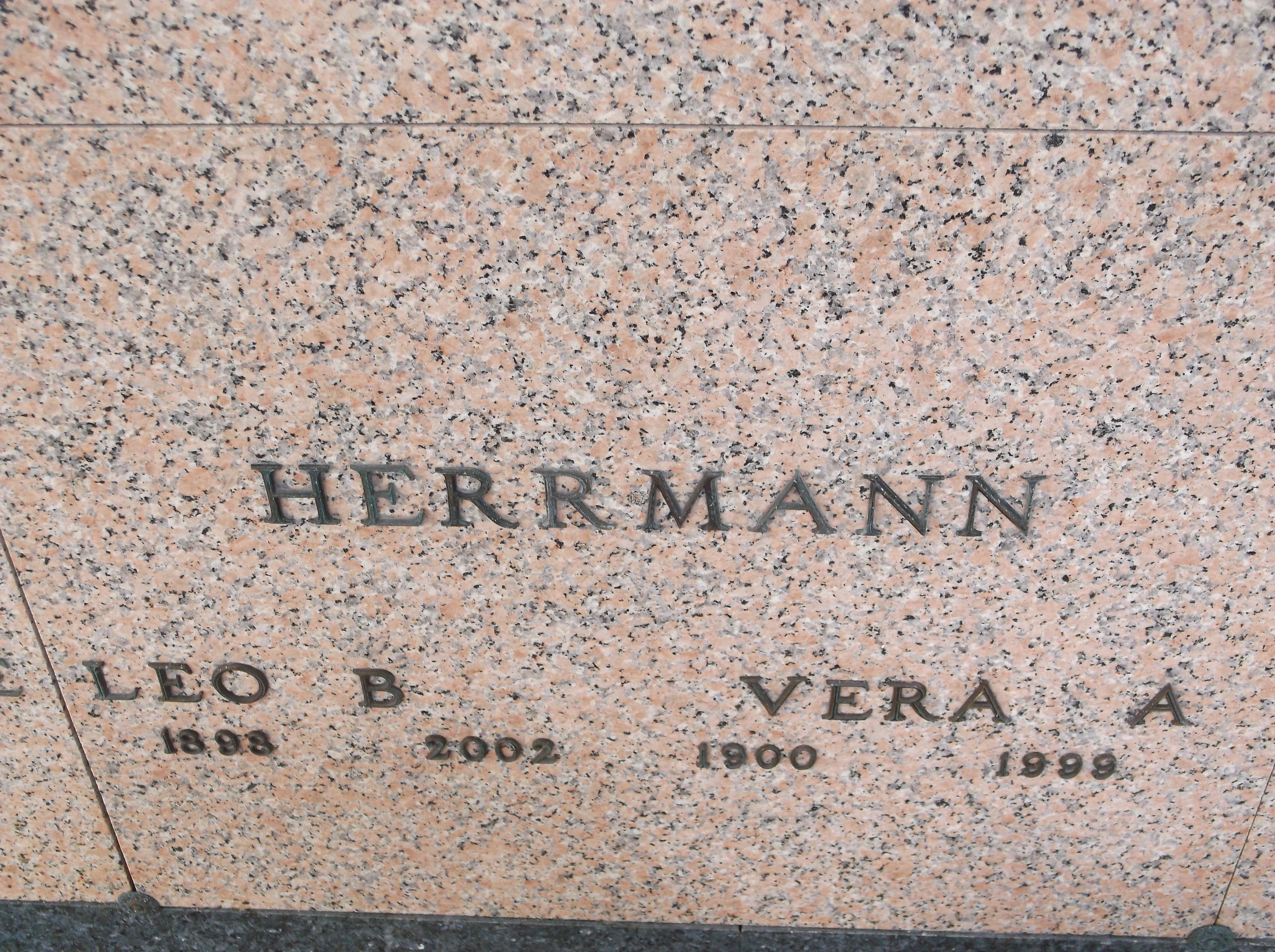 Vera A Herrmann
