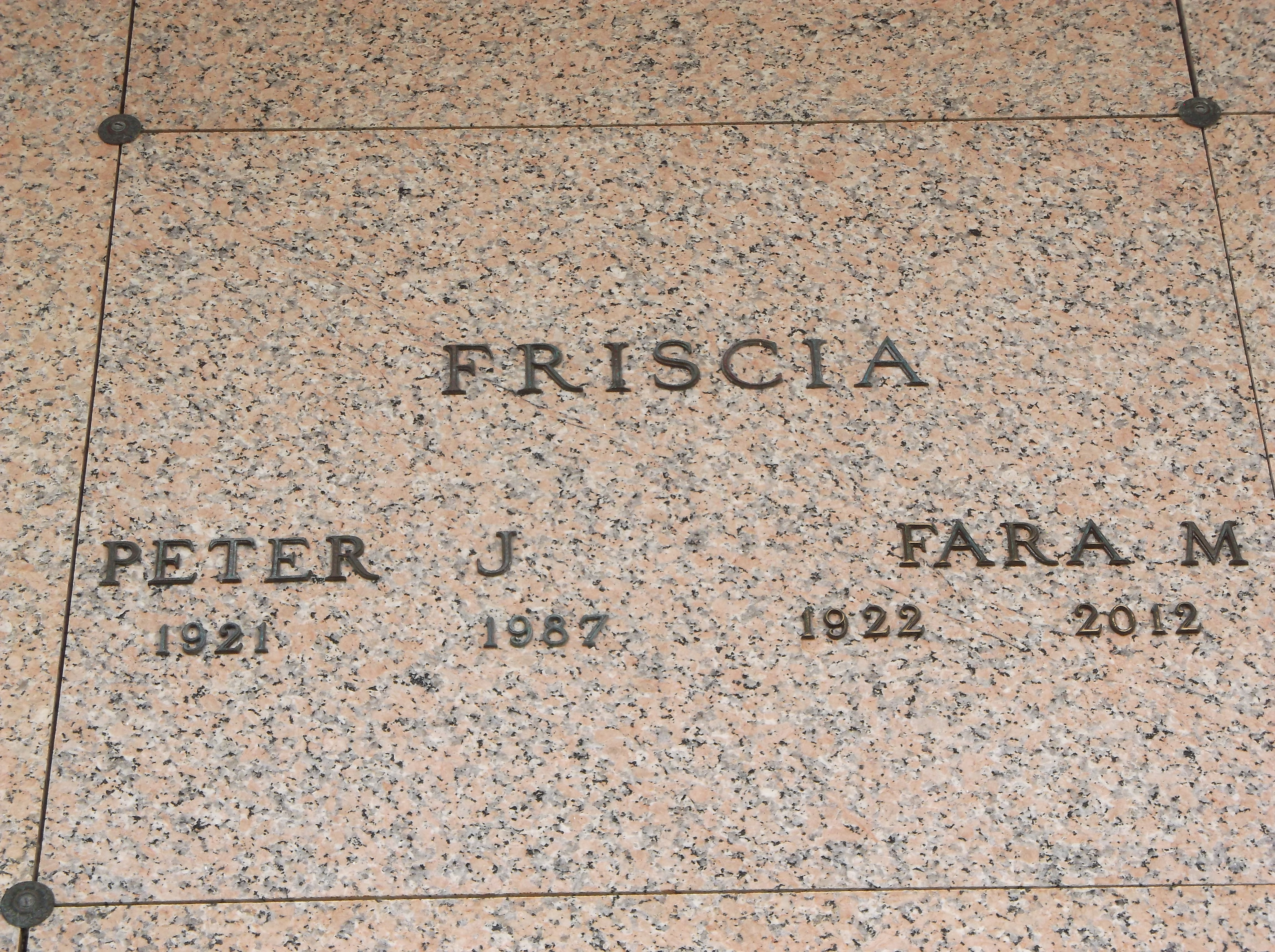 Peter J Friscia