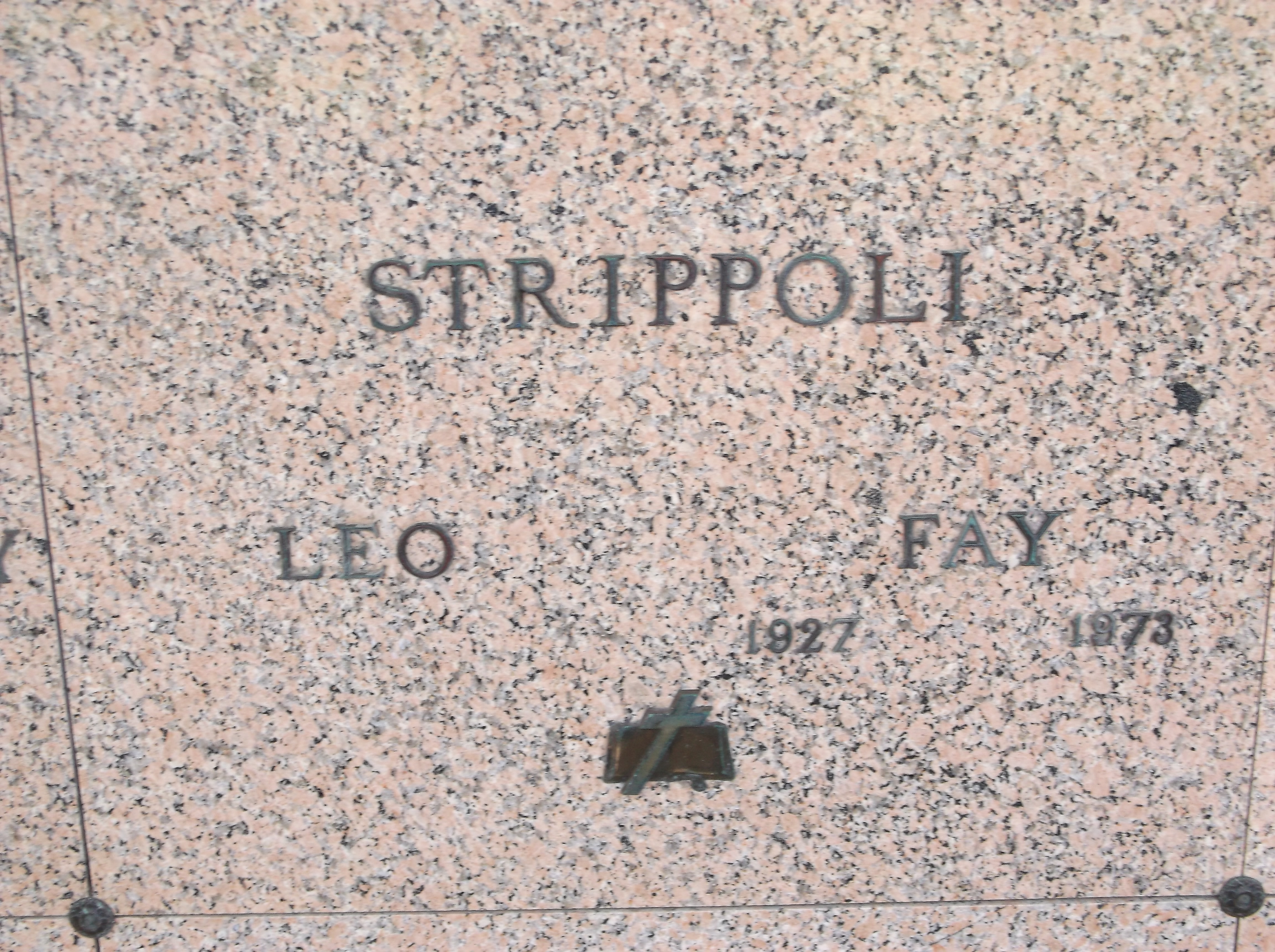 Fay Strippoli
