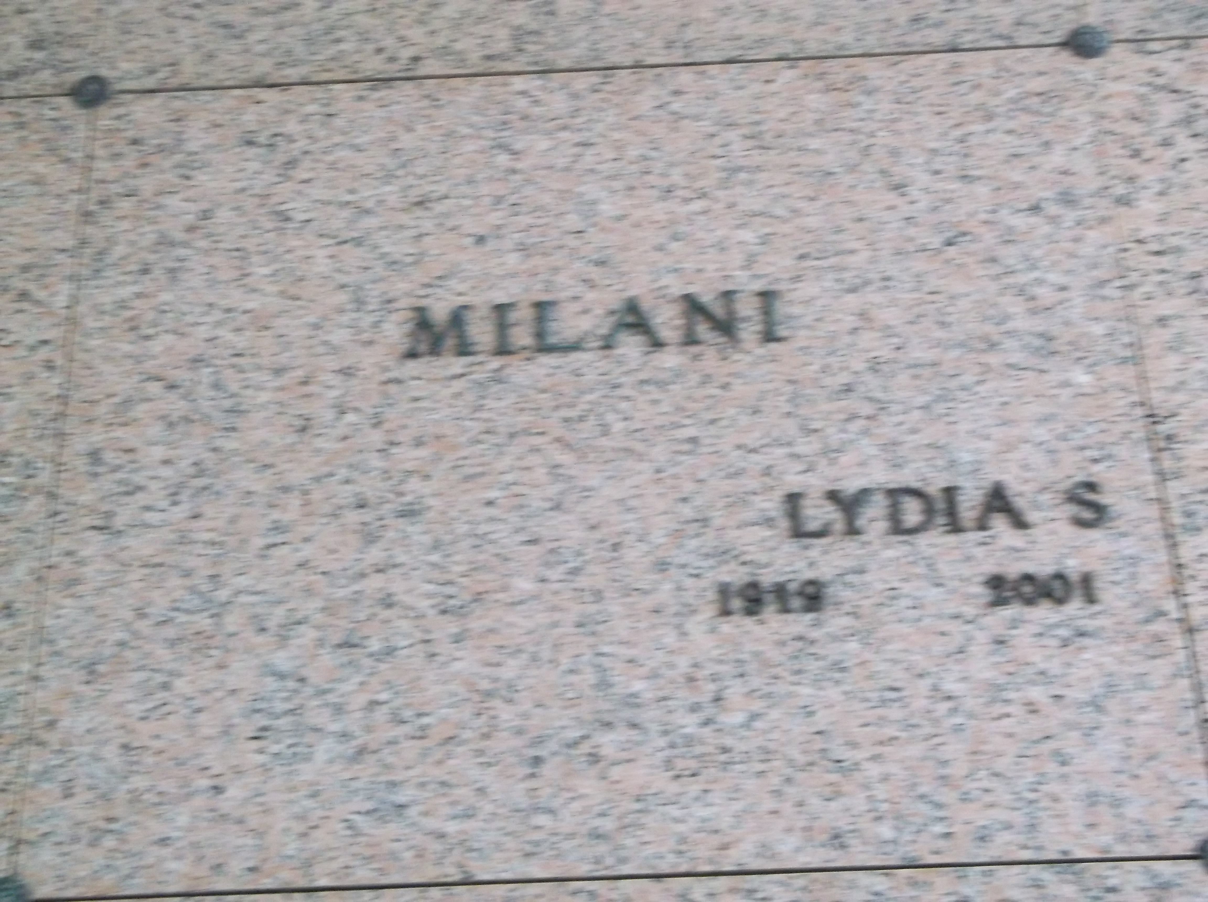 Lydia S Milani