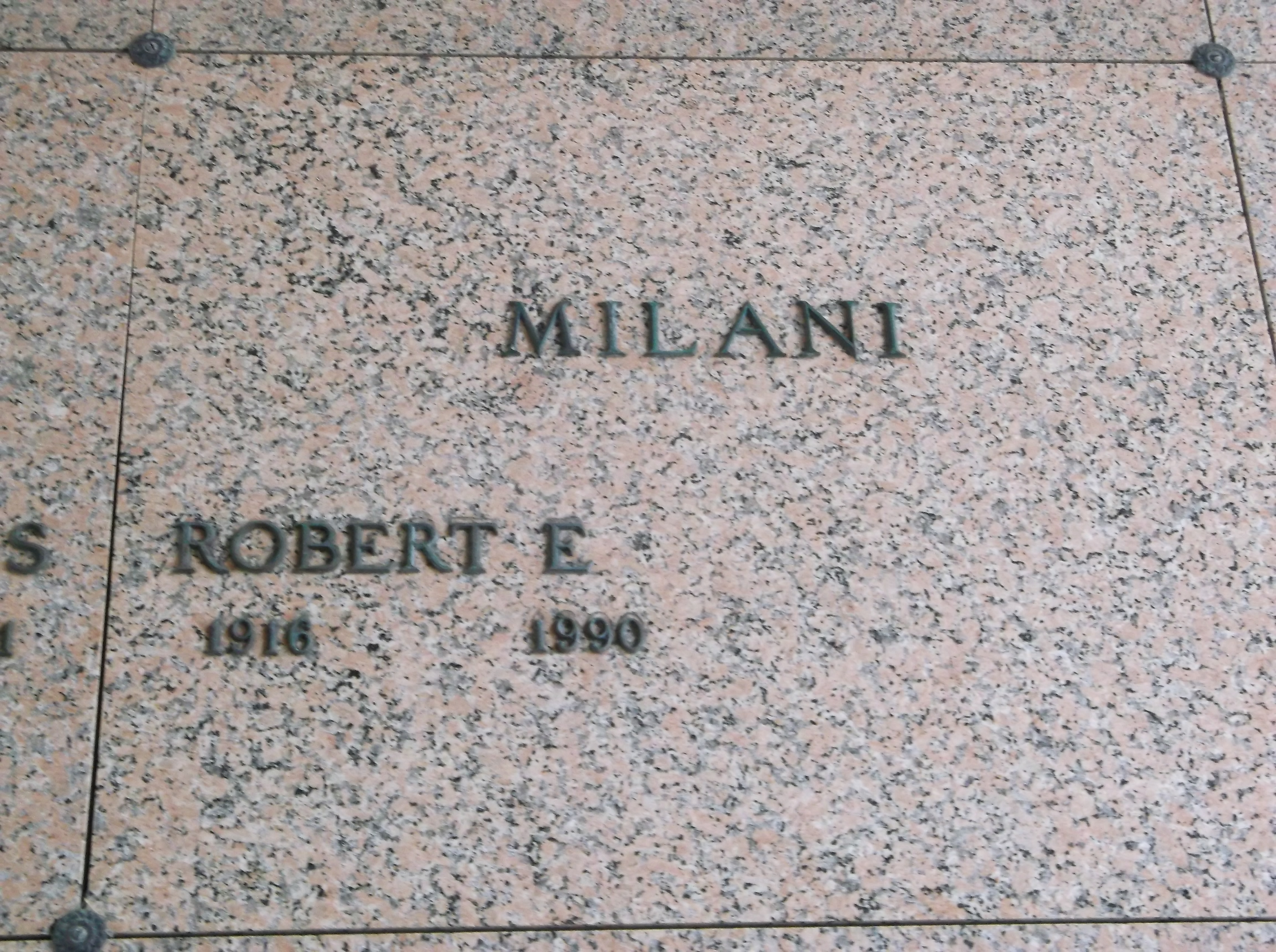 Robert E Milani