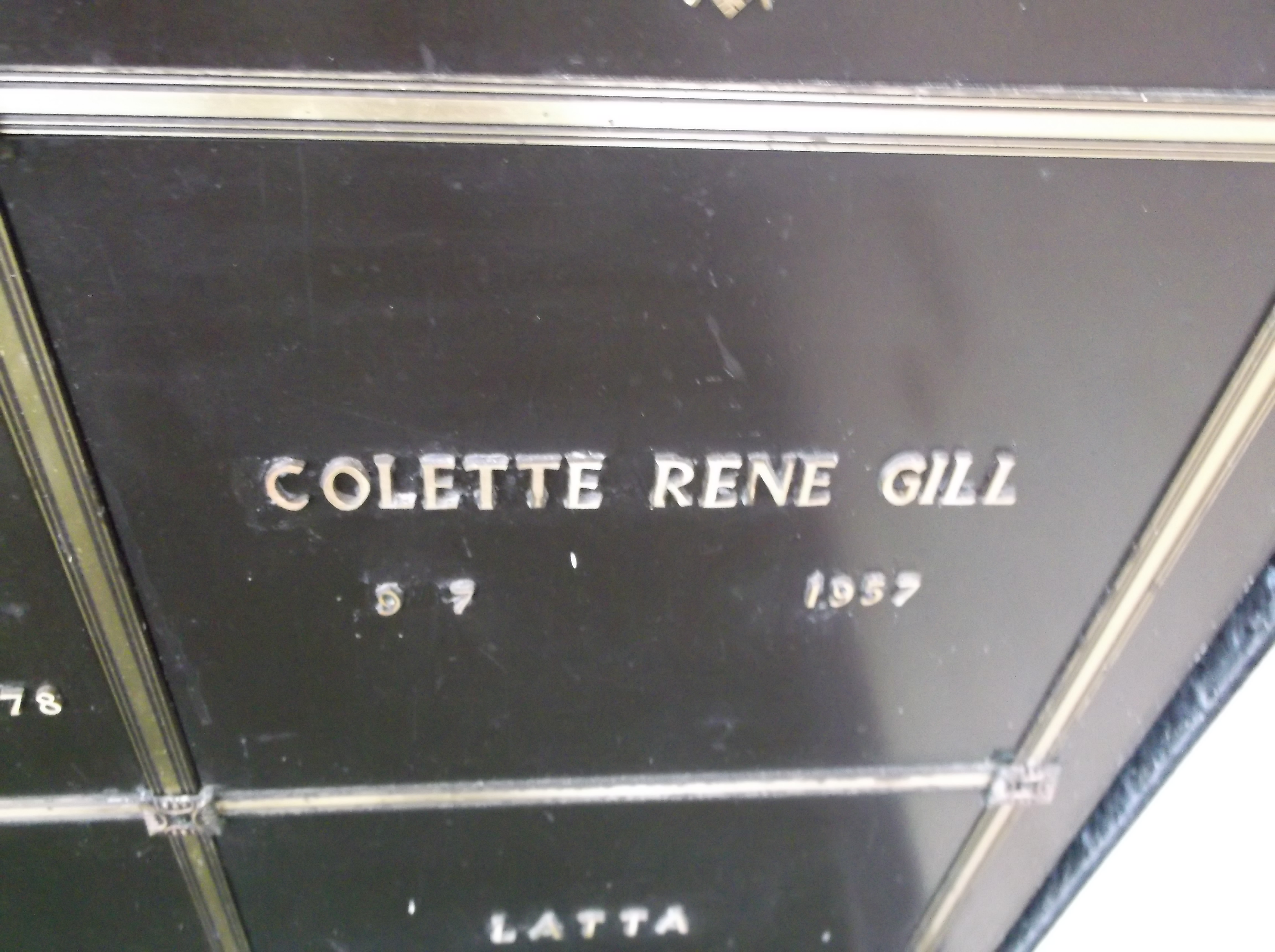 Colette Rene Gill