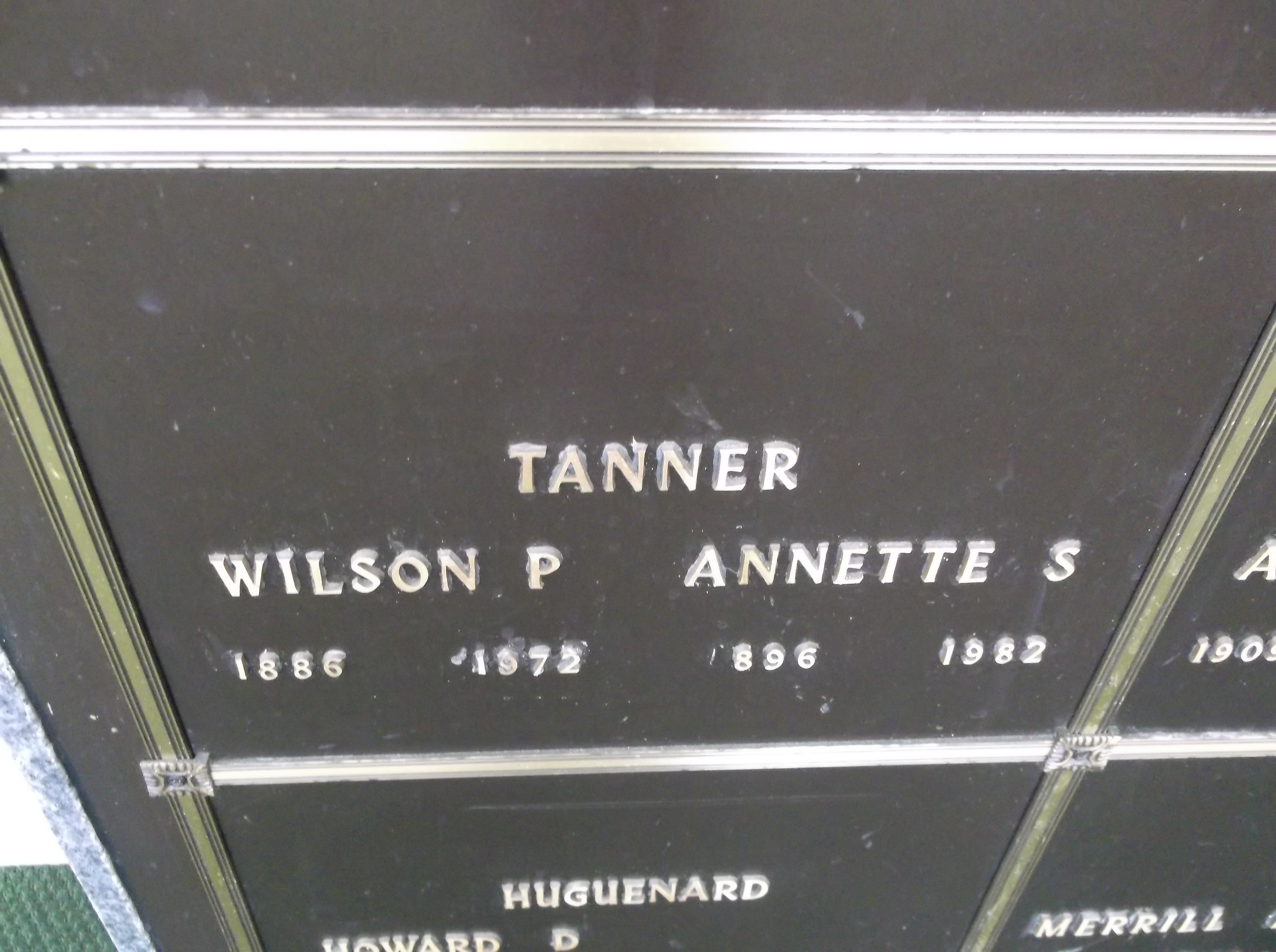 Wilson P Tanner