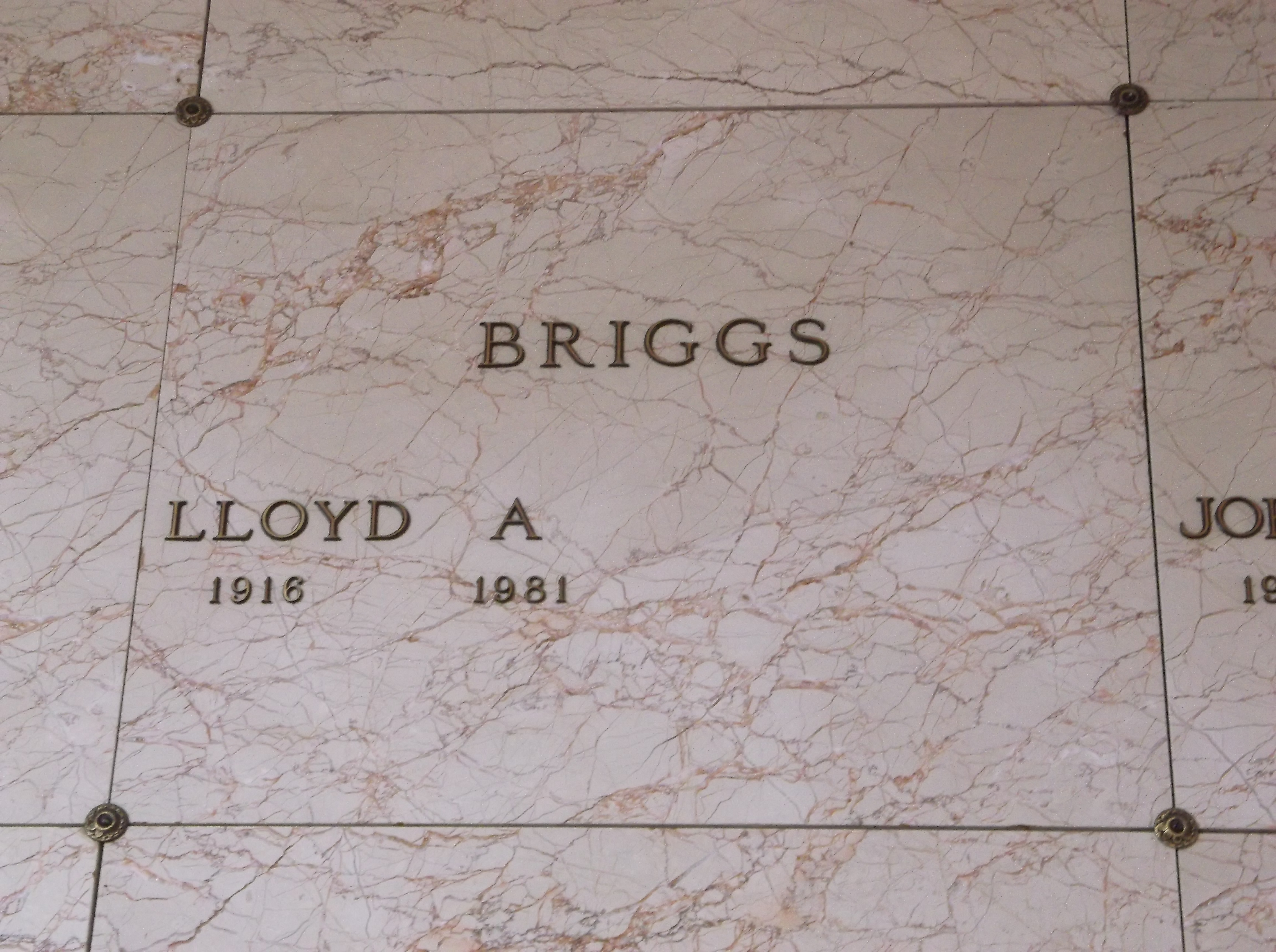 Lloyd A Briggs