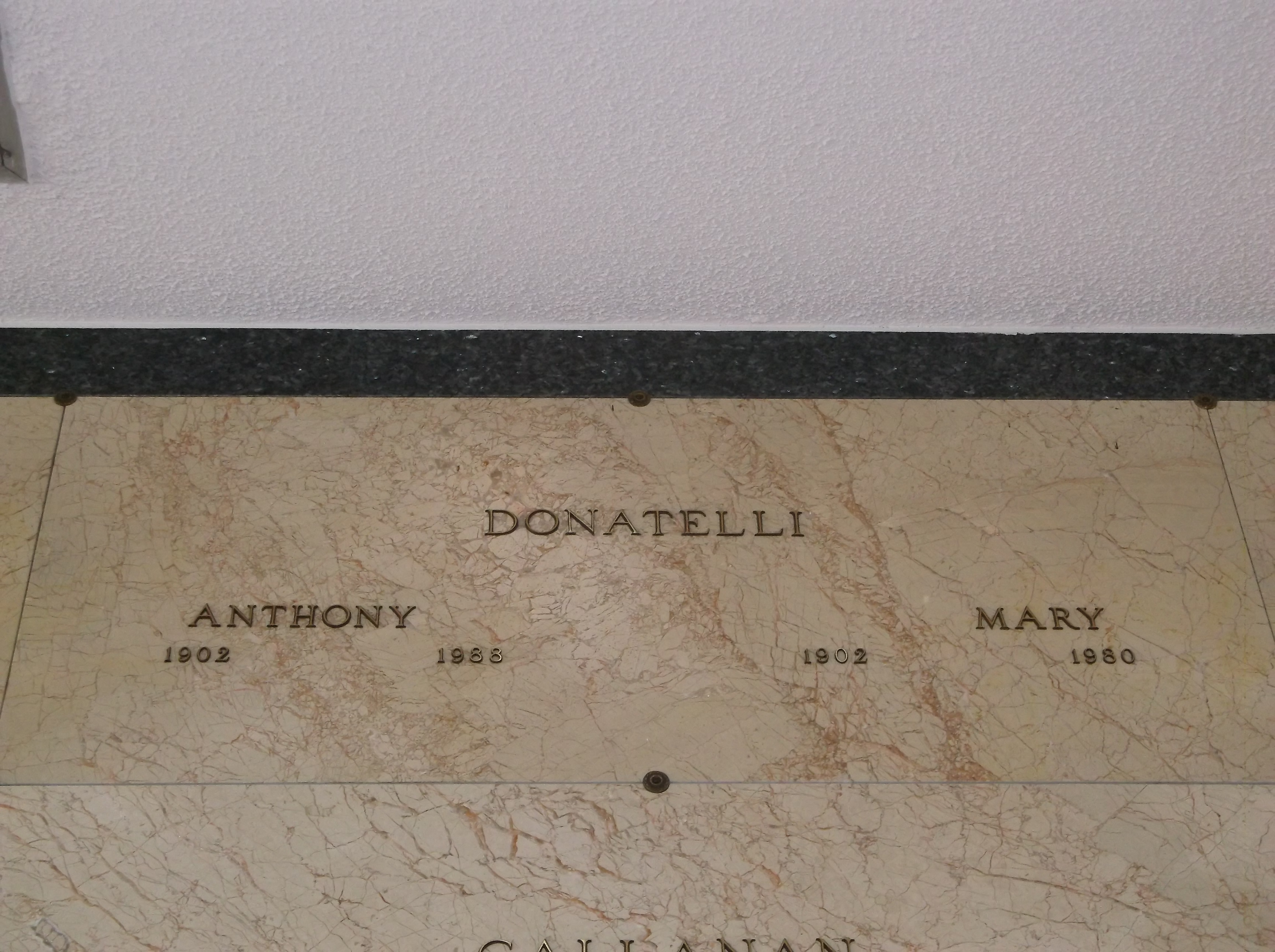 Anthony Donatelli