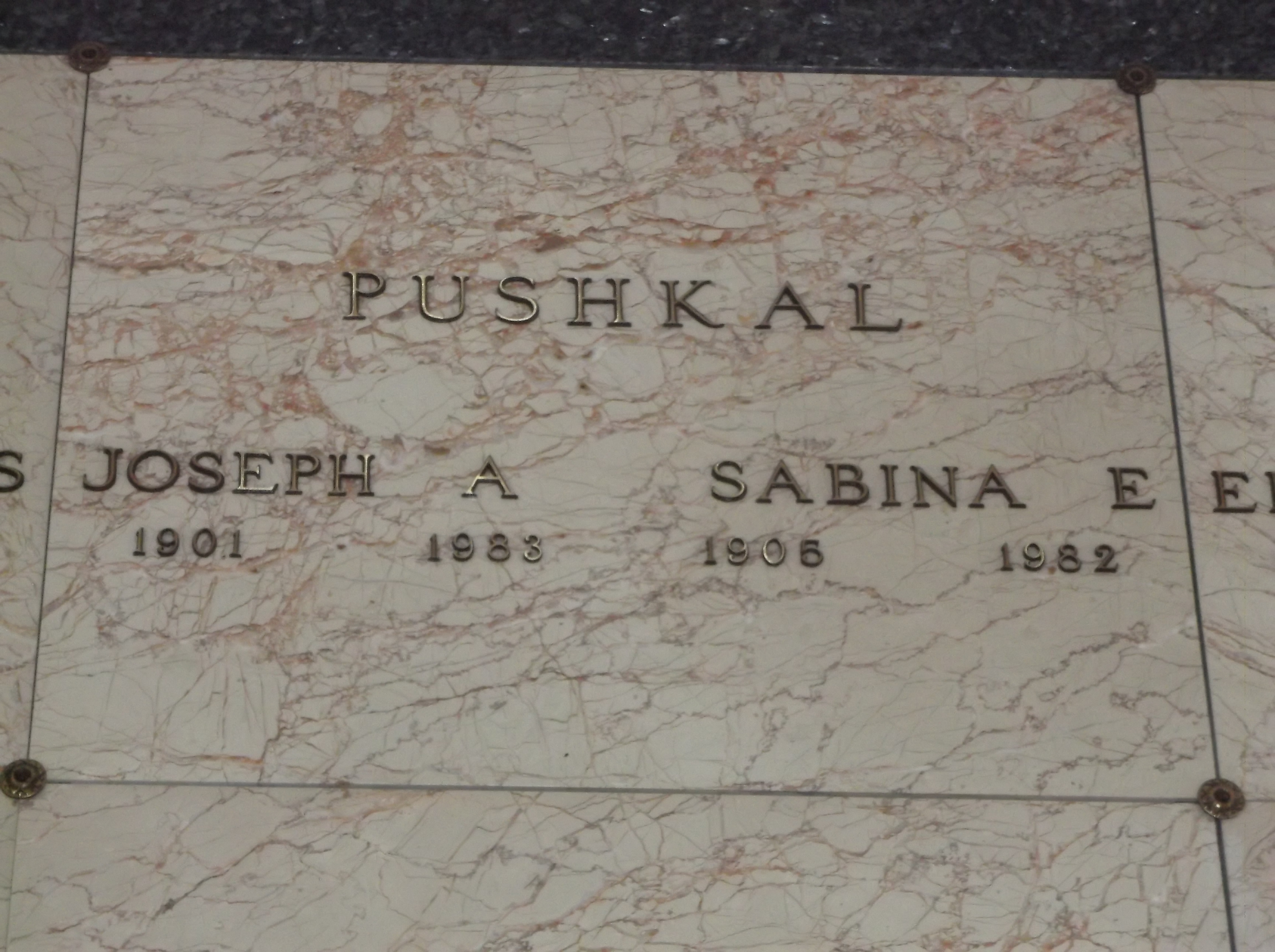 Sabina E Pushkal