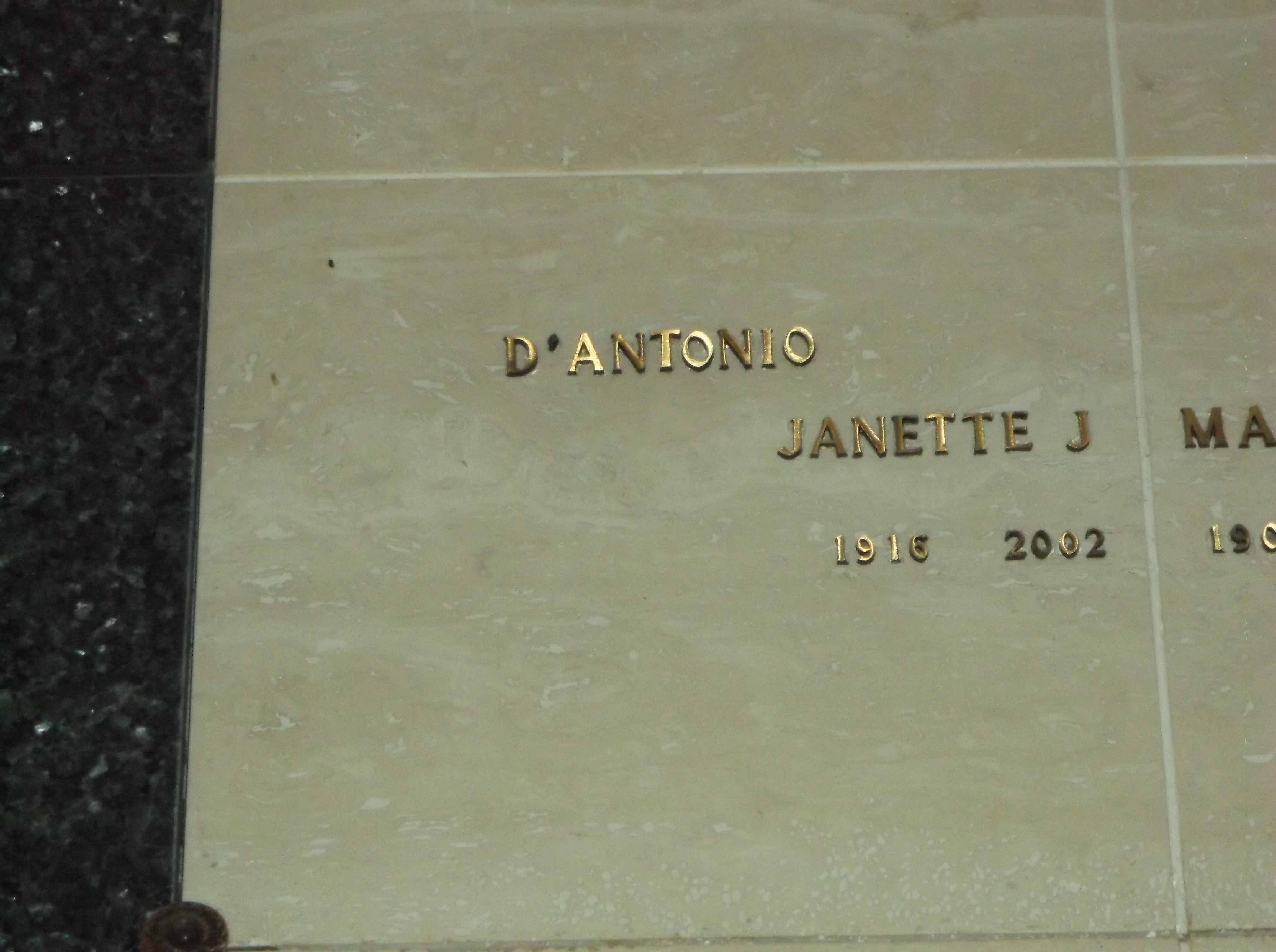 Janette J D'Antonio