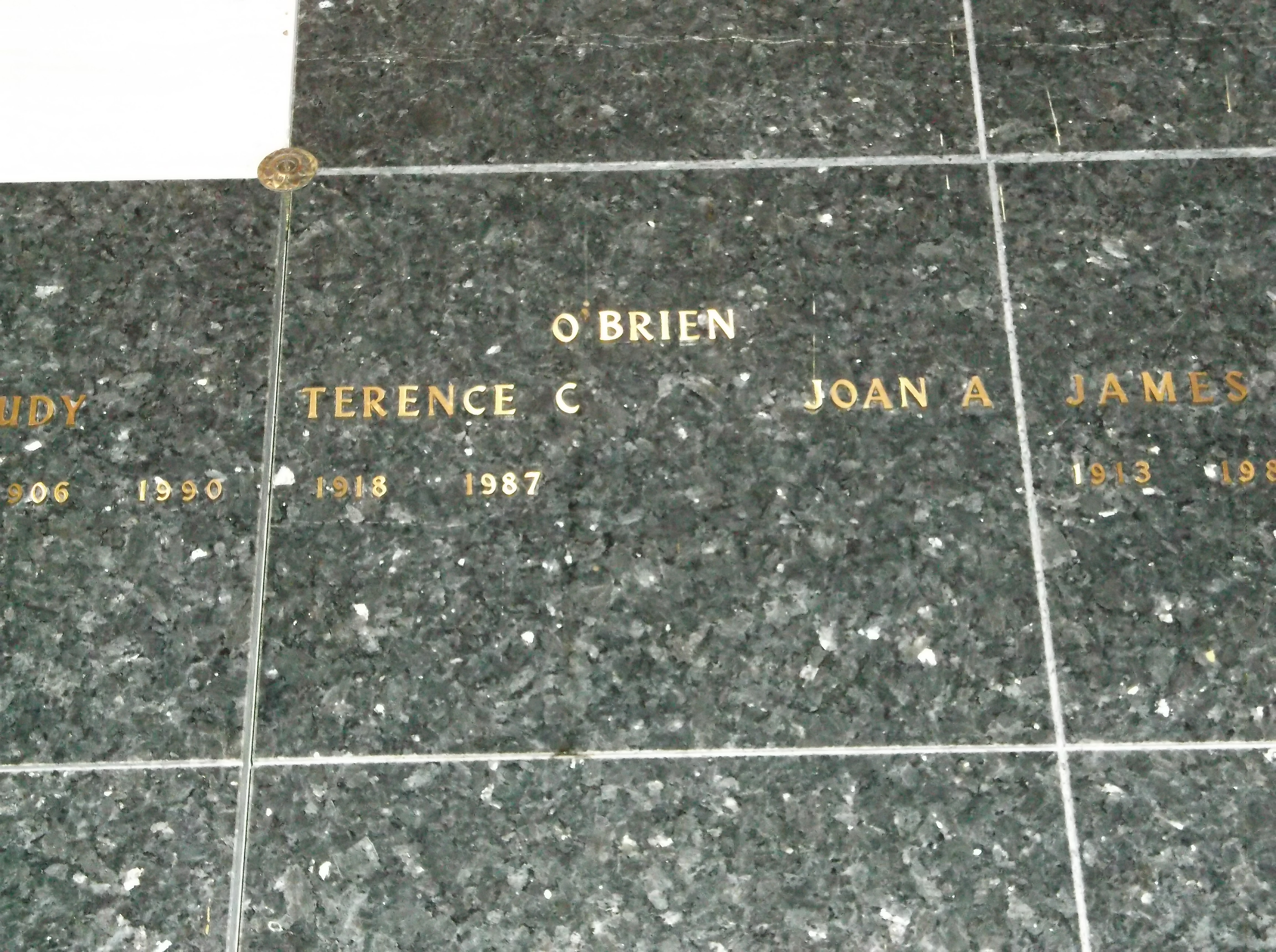 Terence C O'Brien