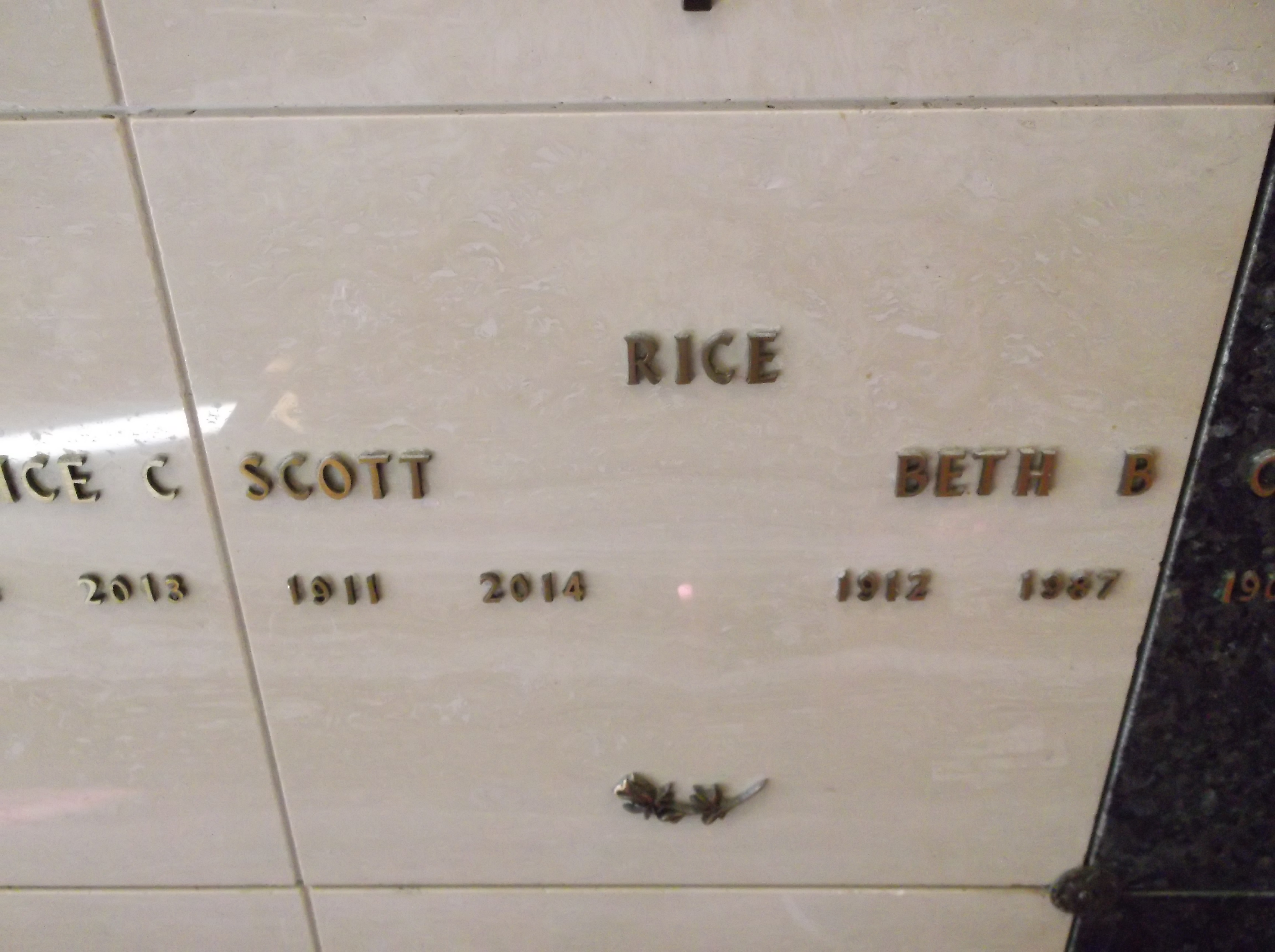 Scott Rice