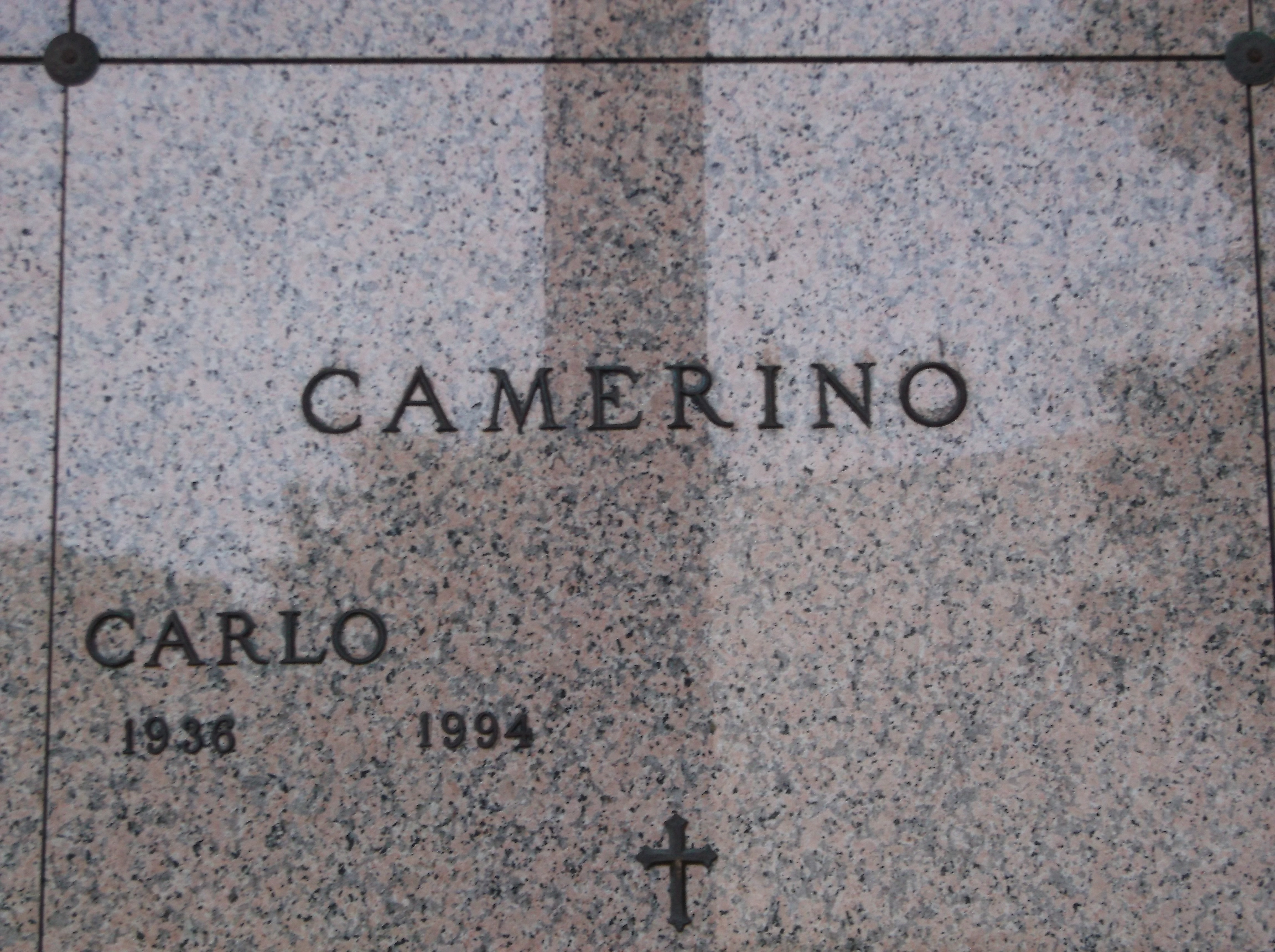 Carlo Camerino