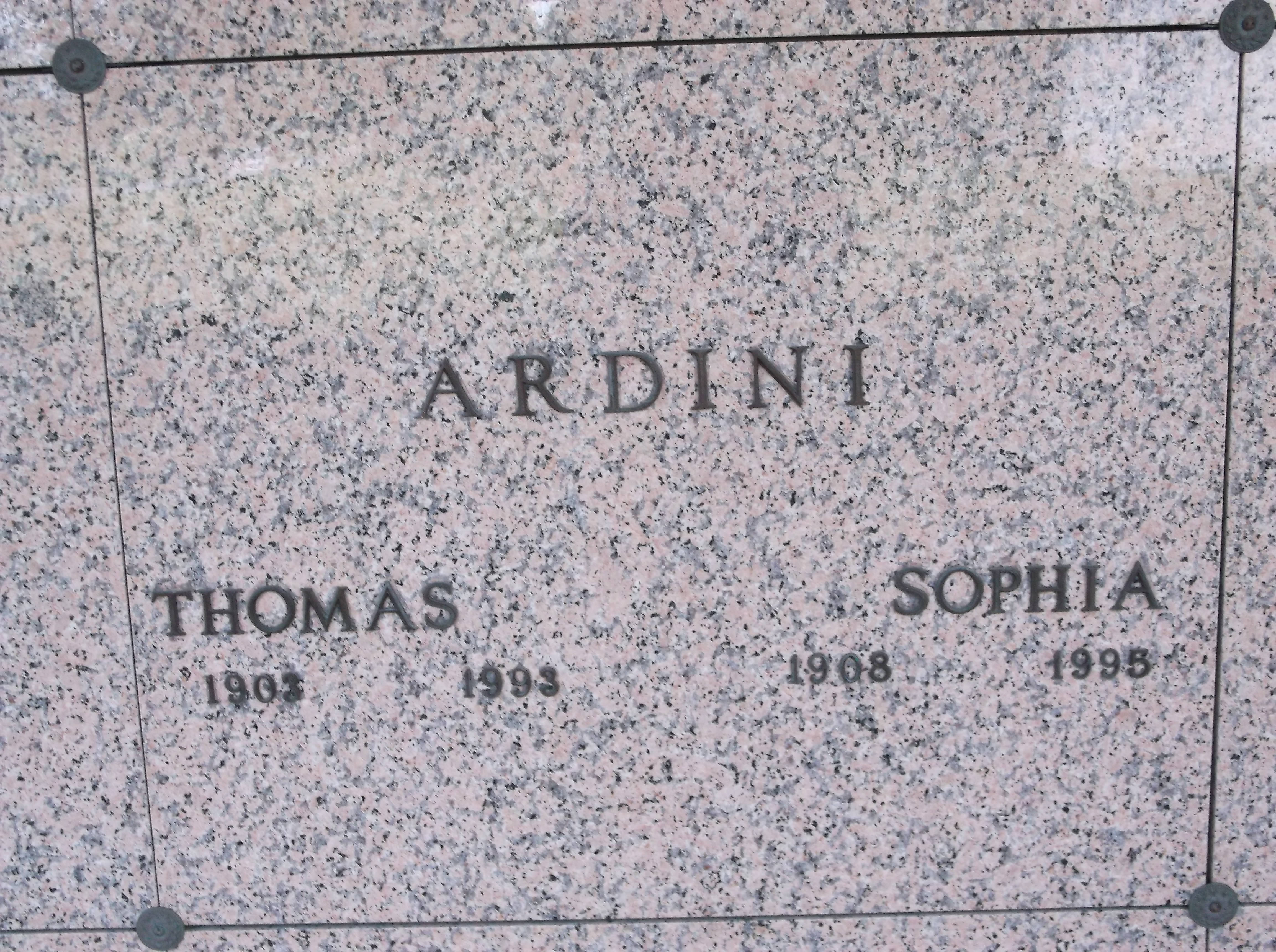 Sophia Ardini