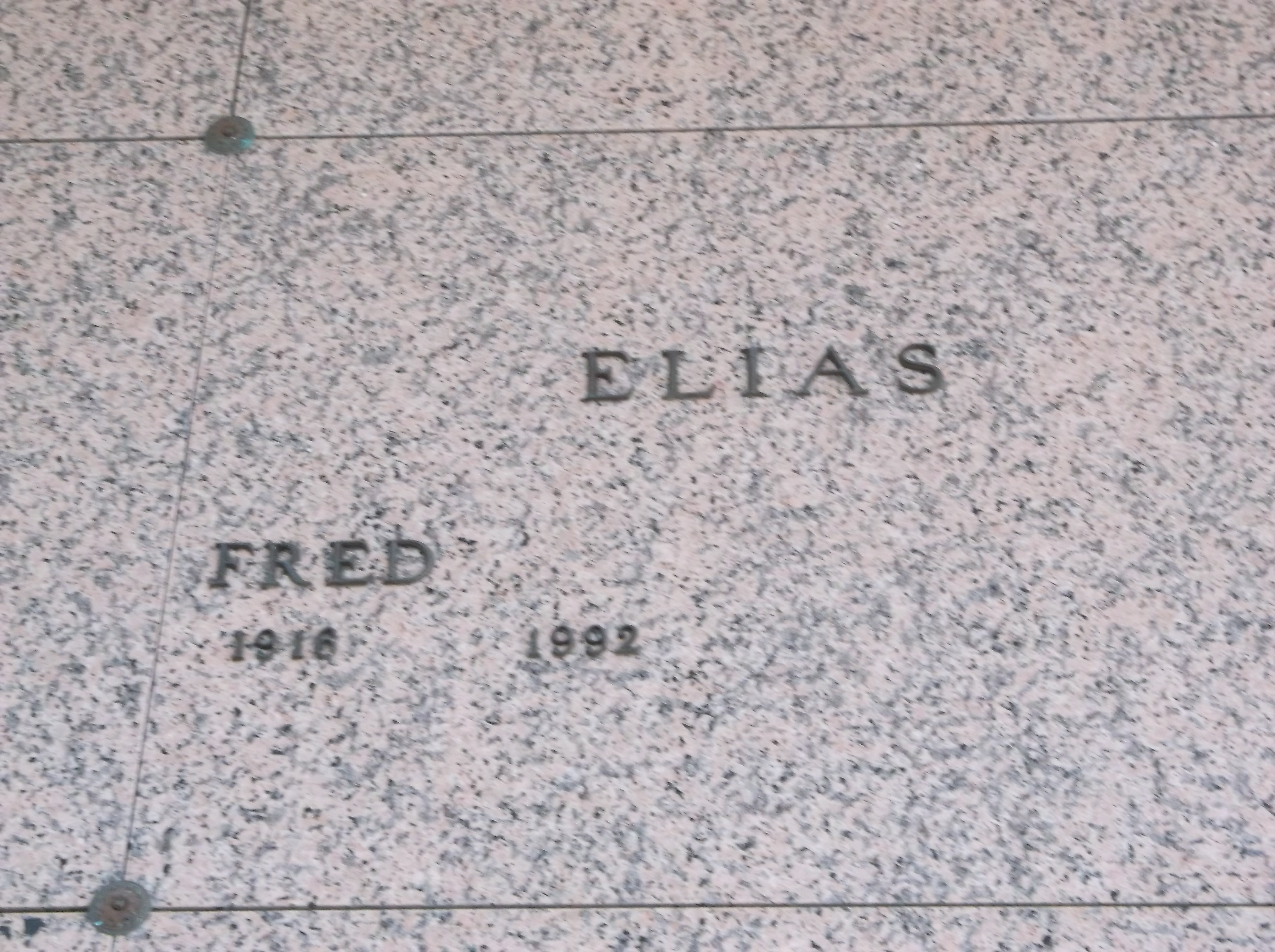 Fred Elias