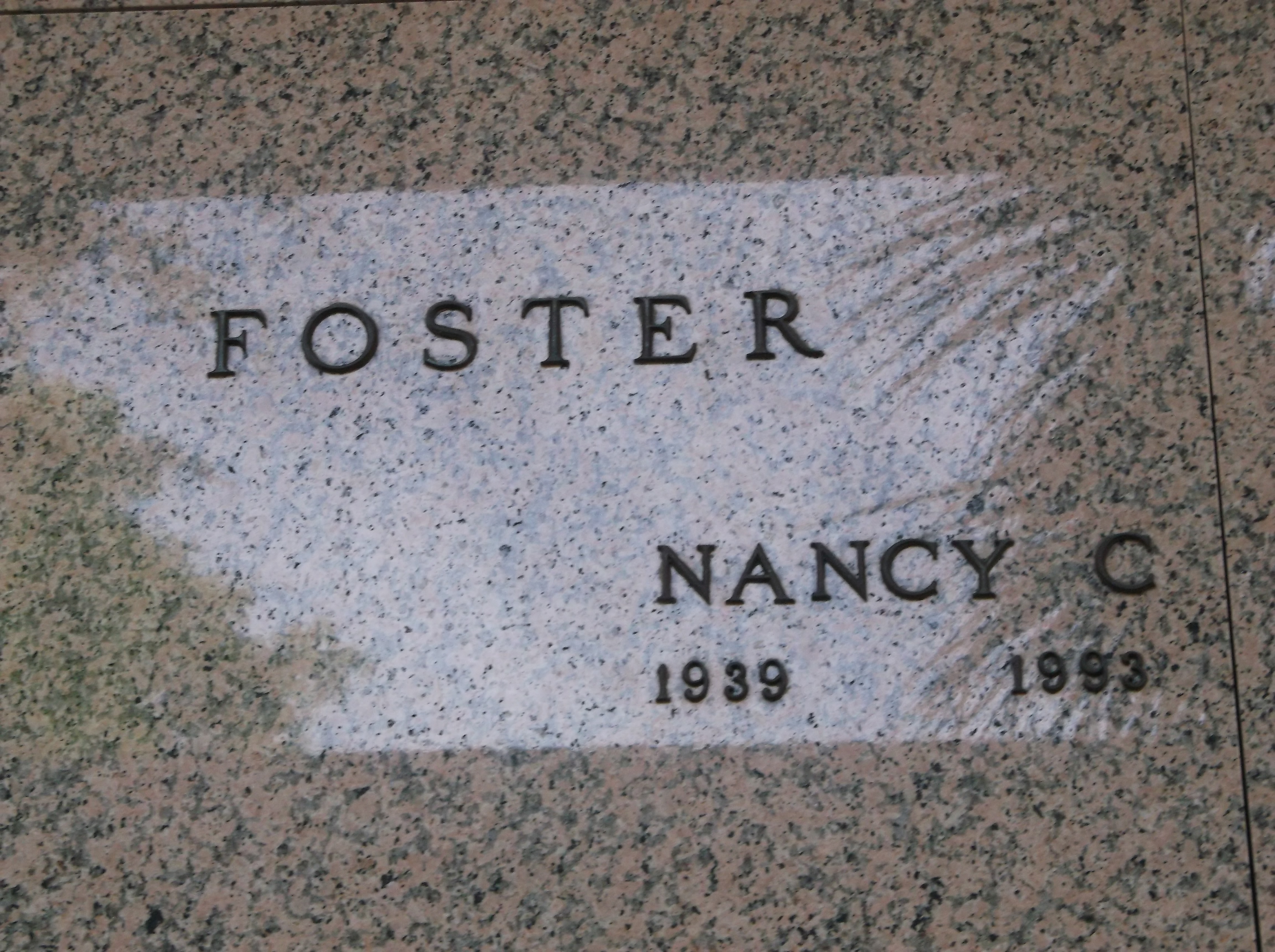Nancy C Foster