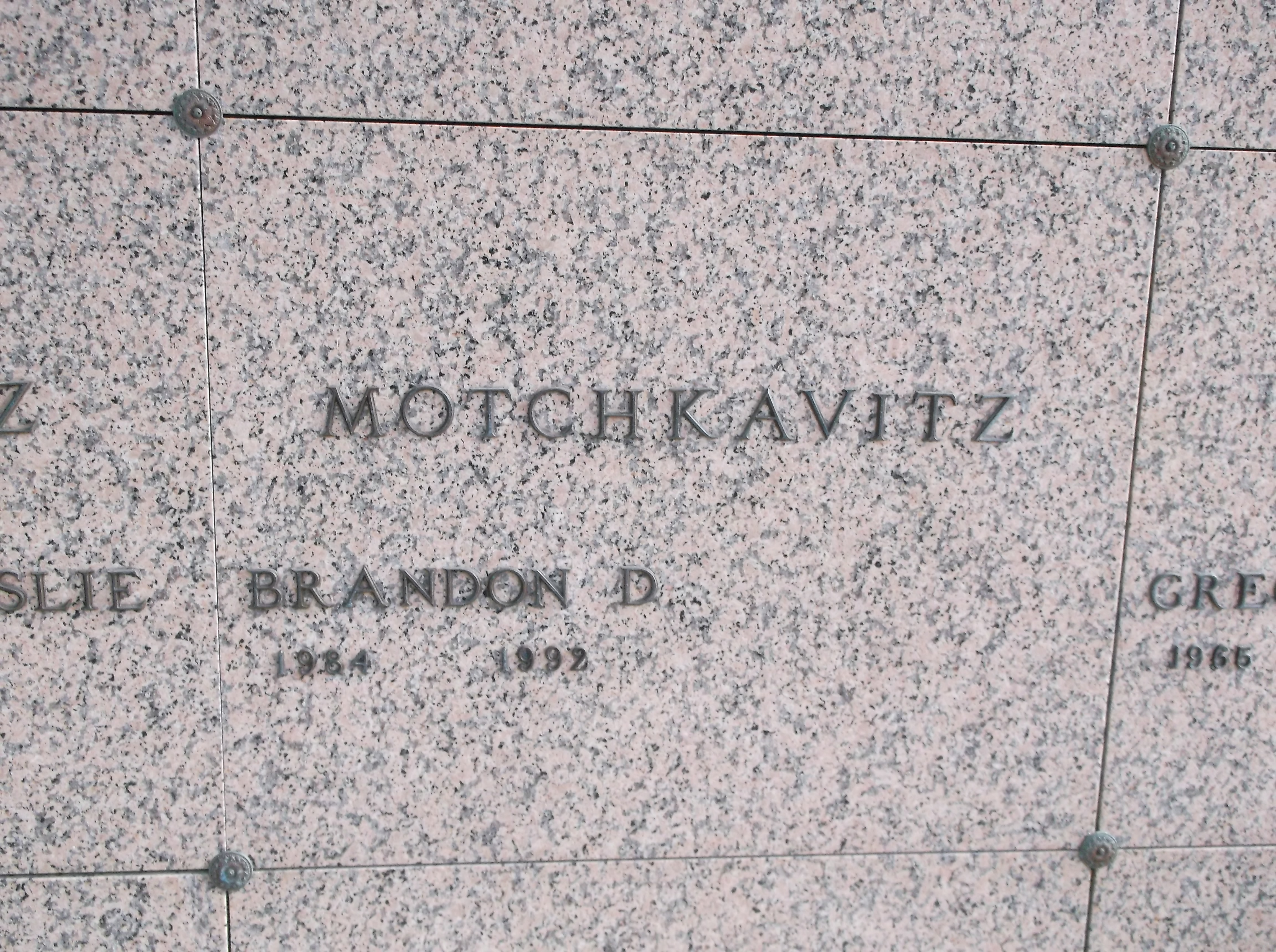 Brandon D Motchkavitz