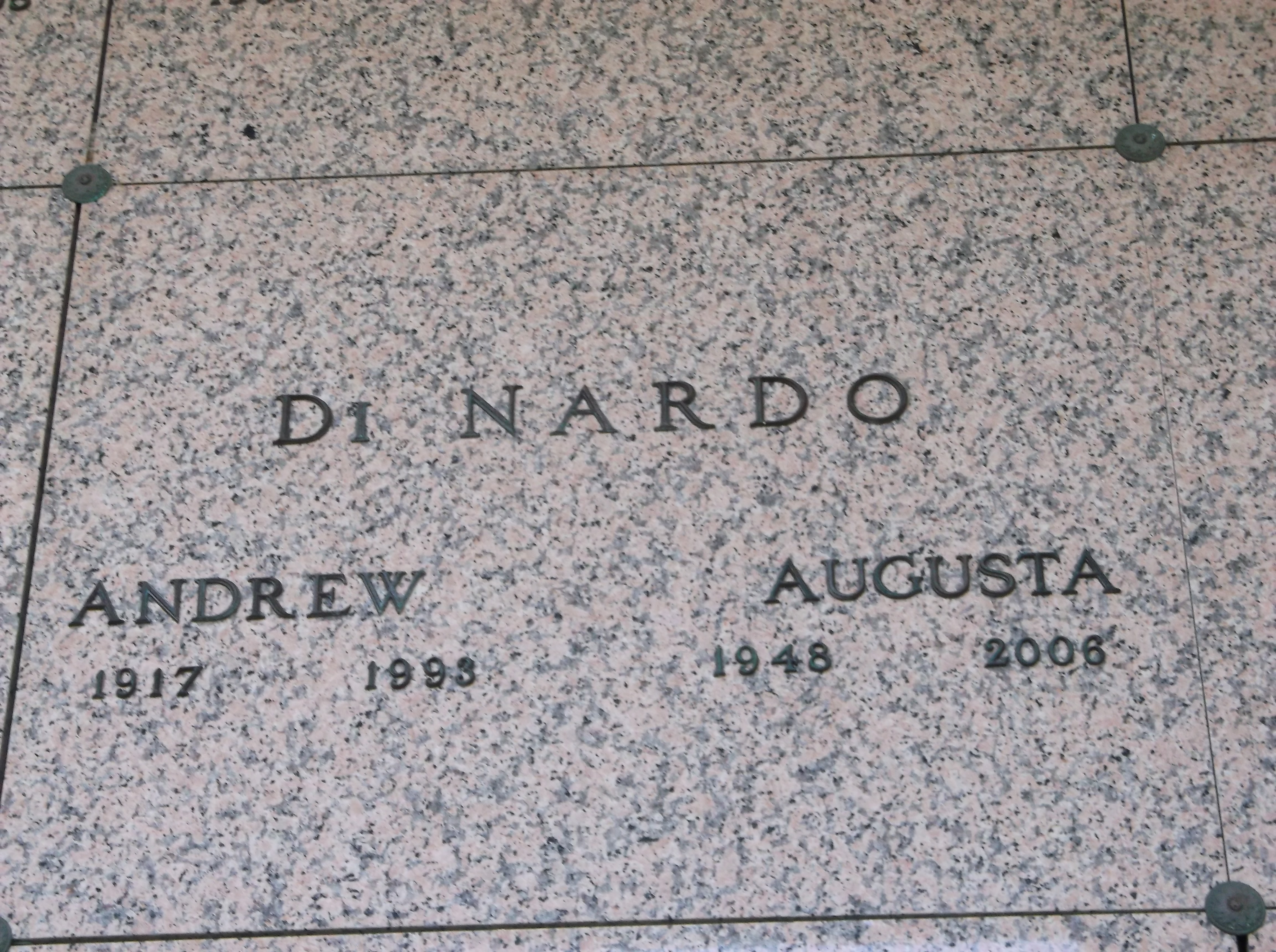 Andrew Di Nardo