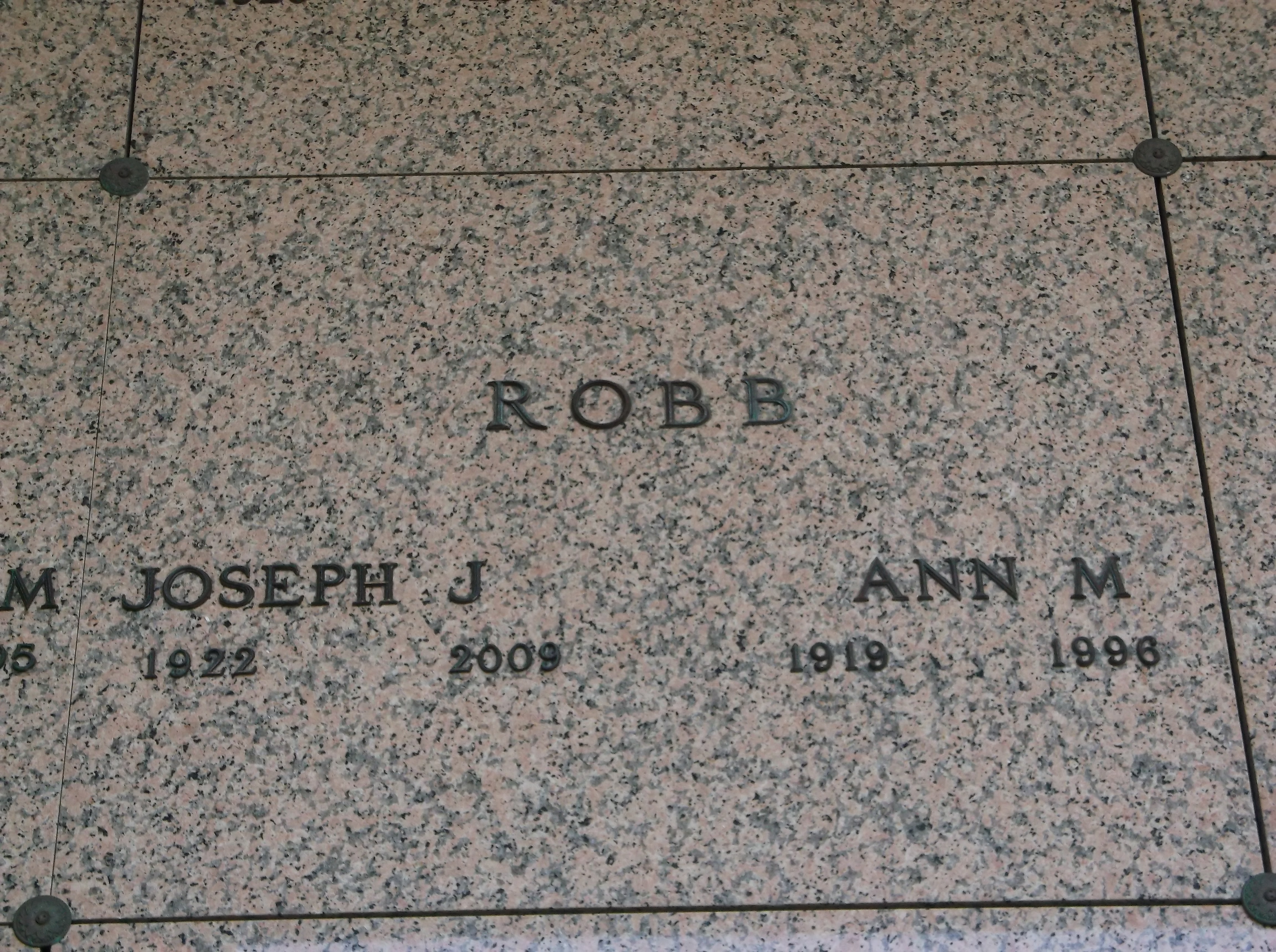 Ann M Robb