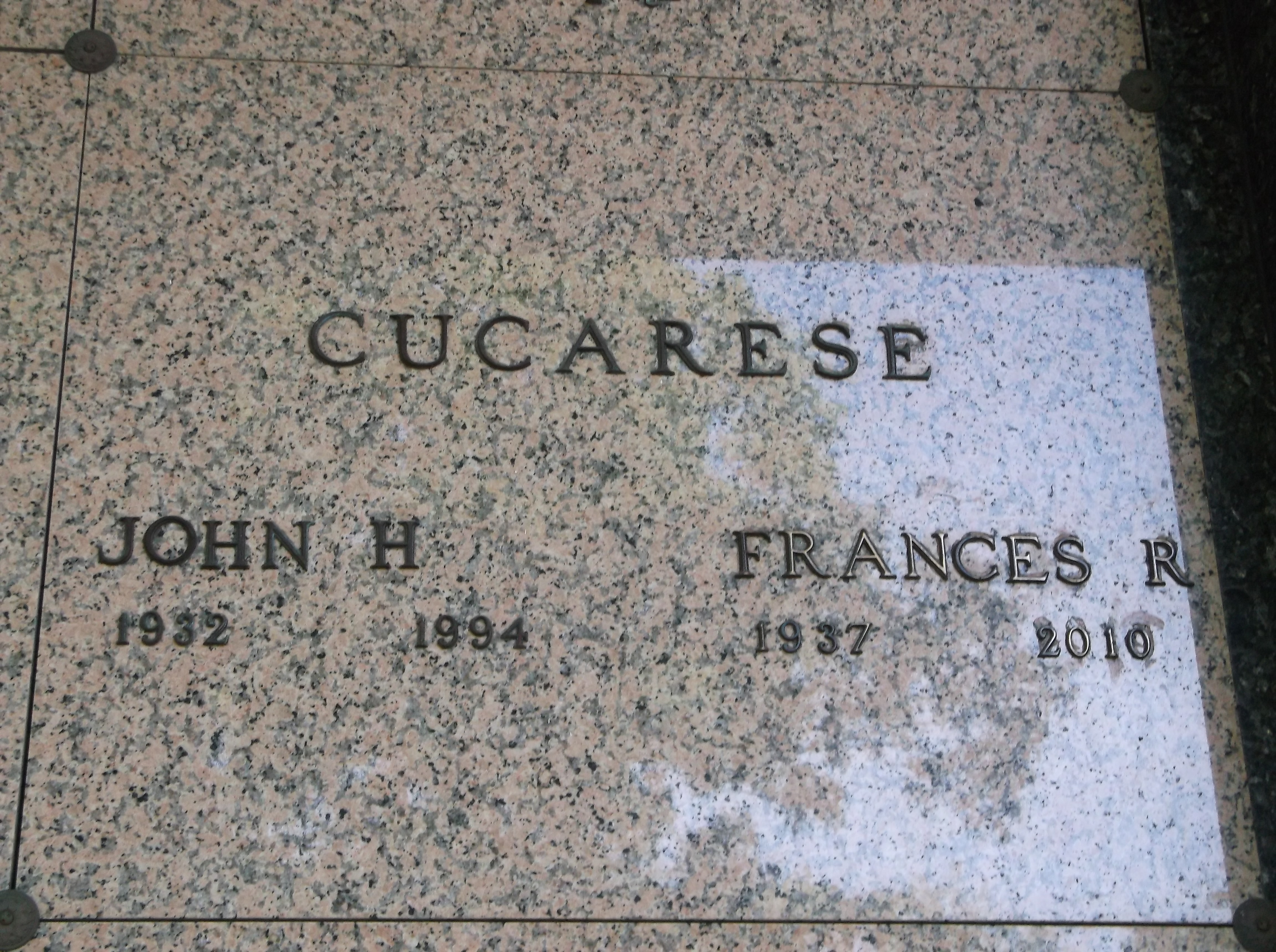 Frances R Cucarese