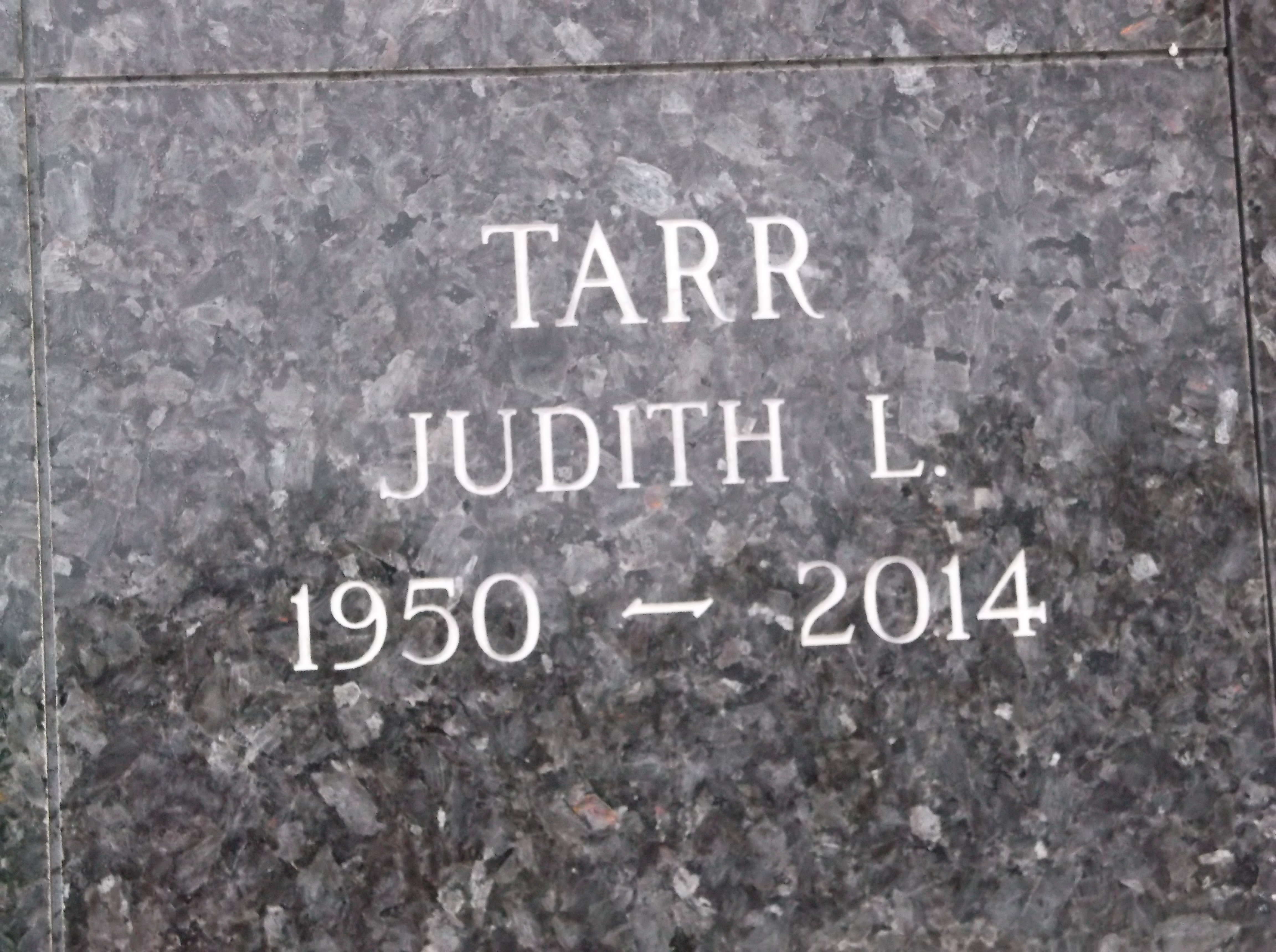 Judith L Tarr