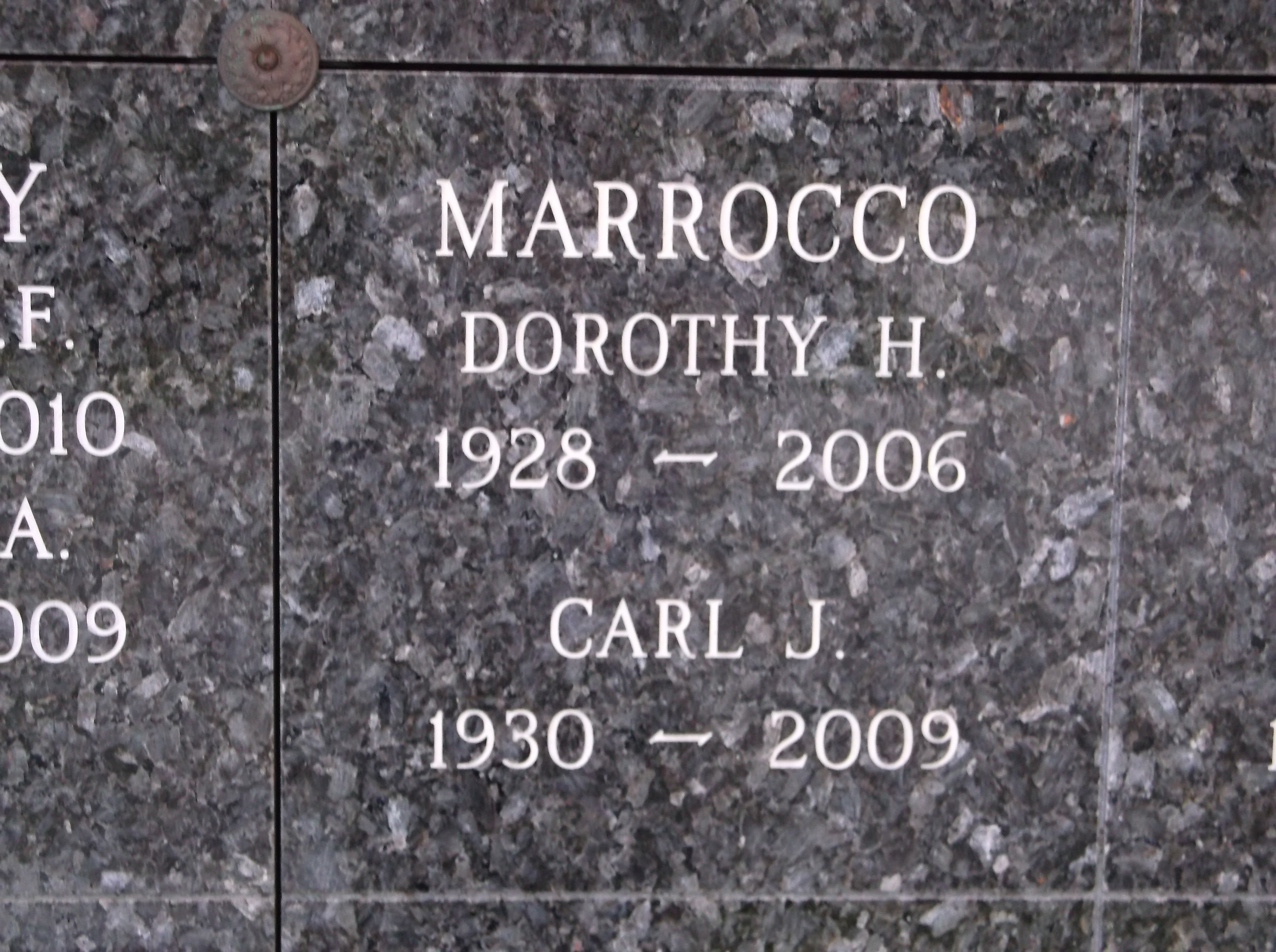 Dorothy H Marrocco