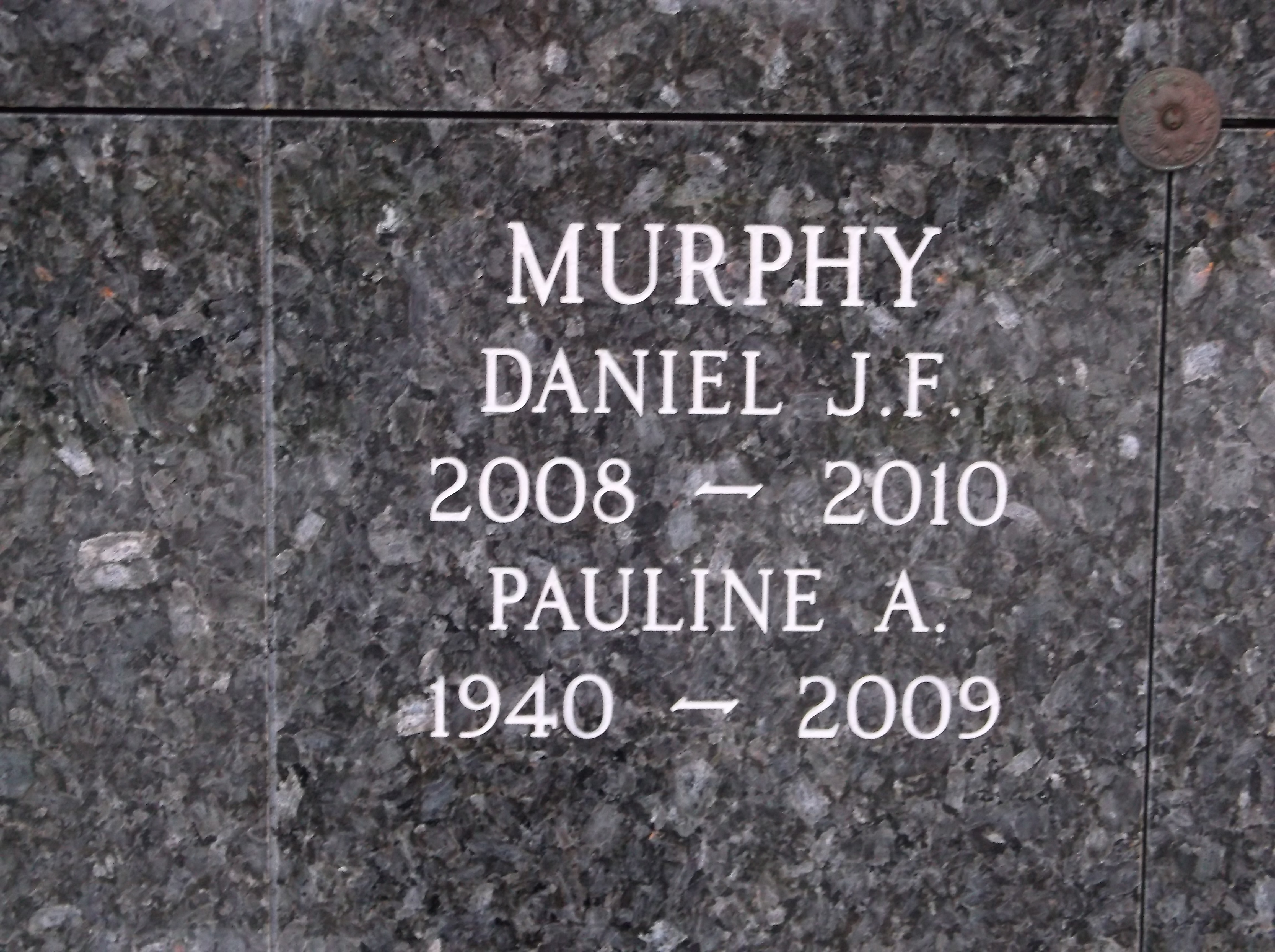 Daniel J F Murphy