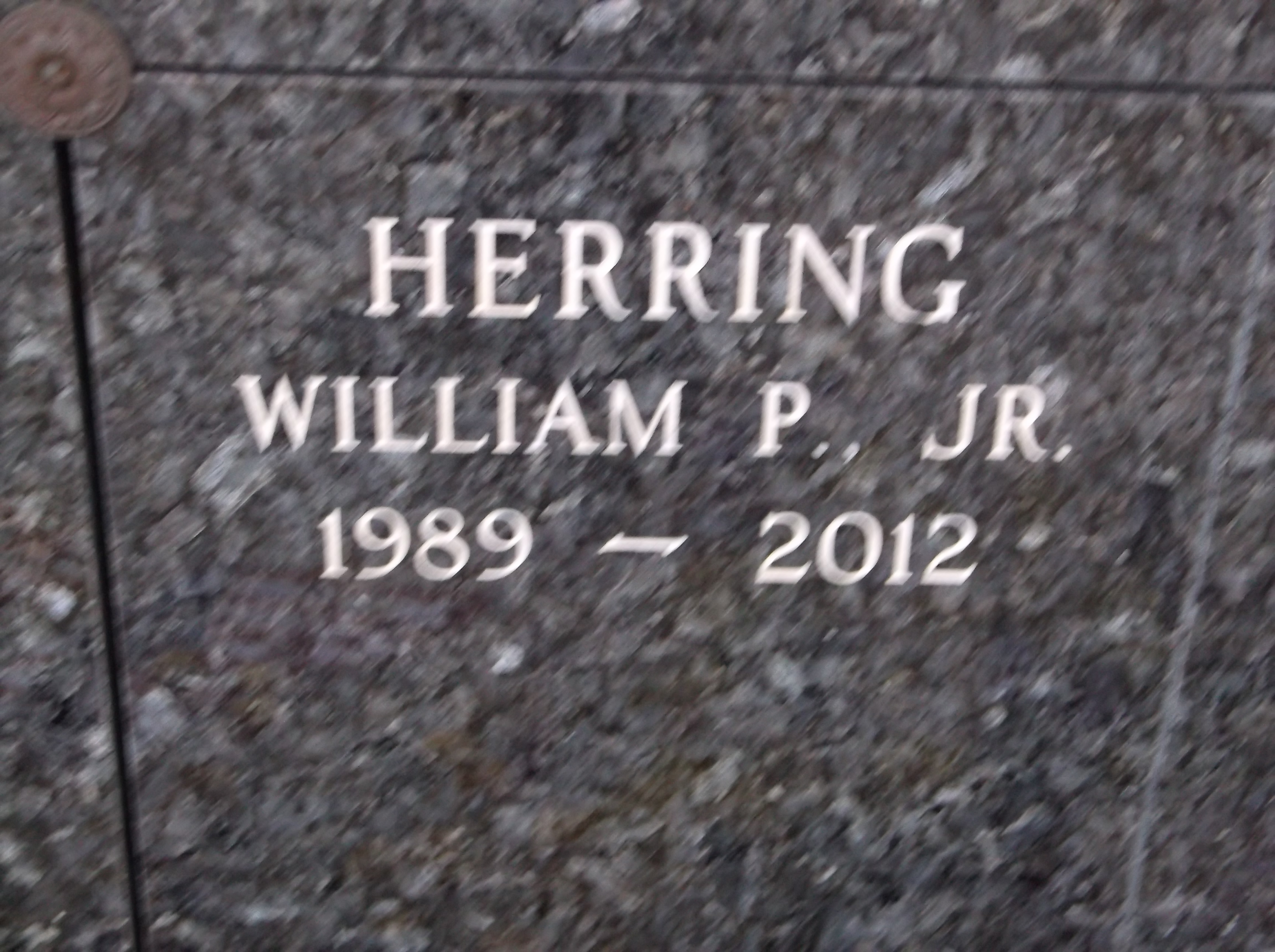 William P Herring, Jr