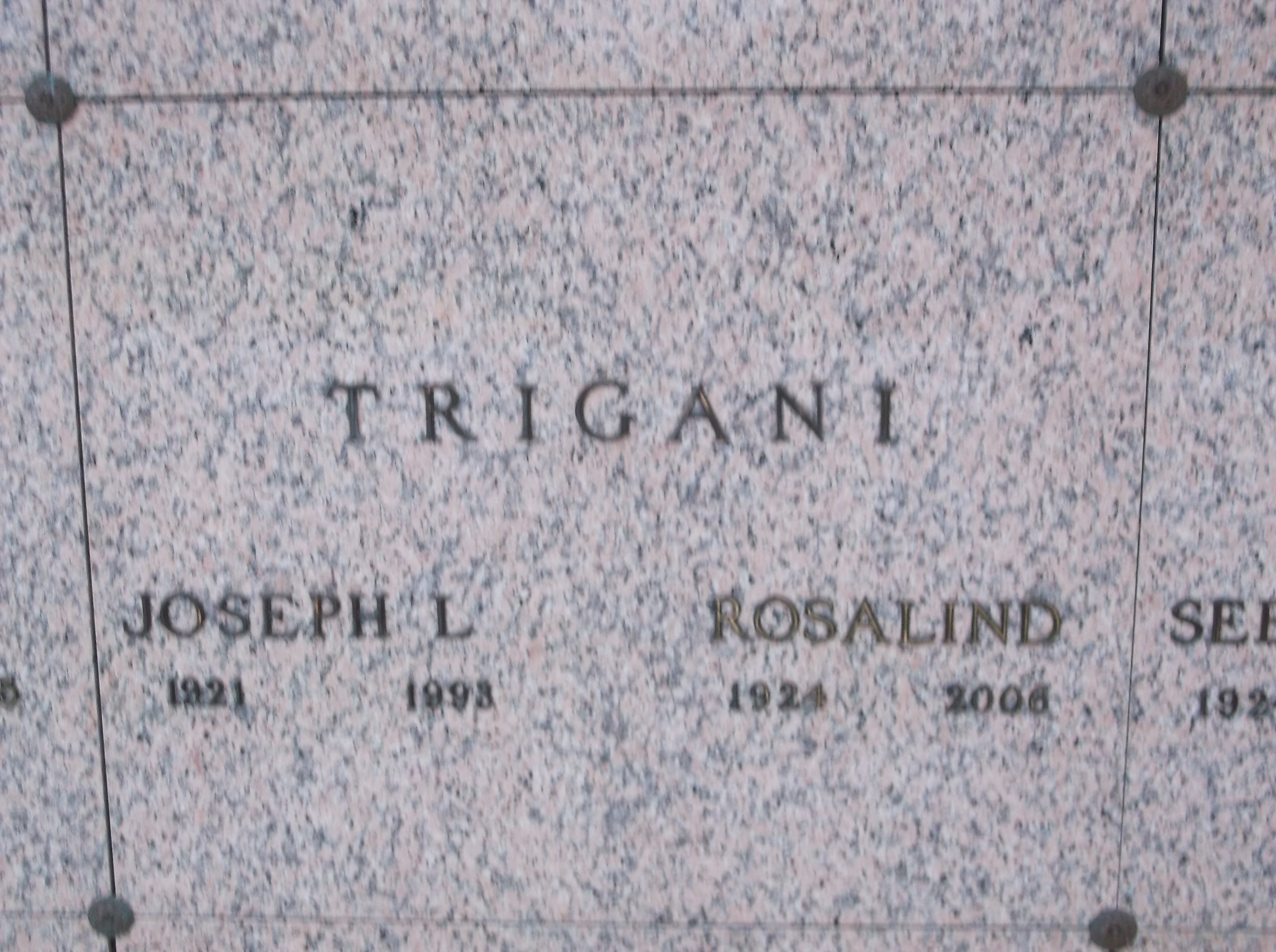 Joseph L Trigani