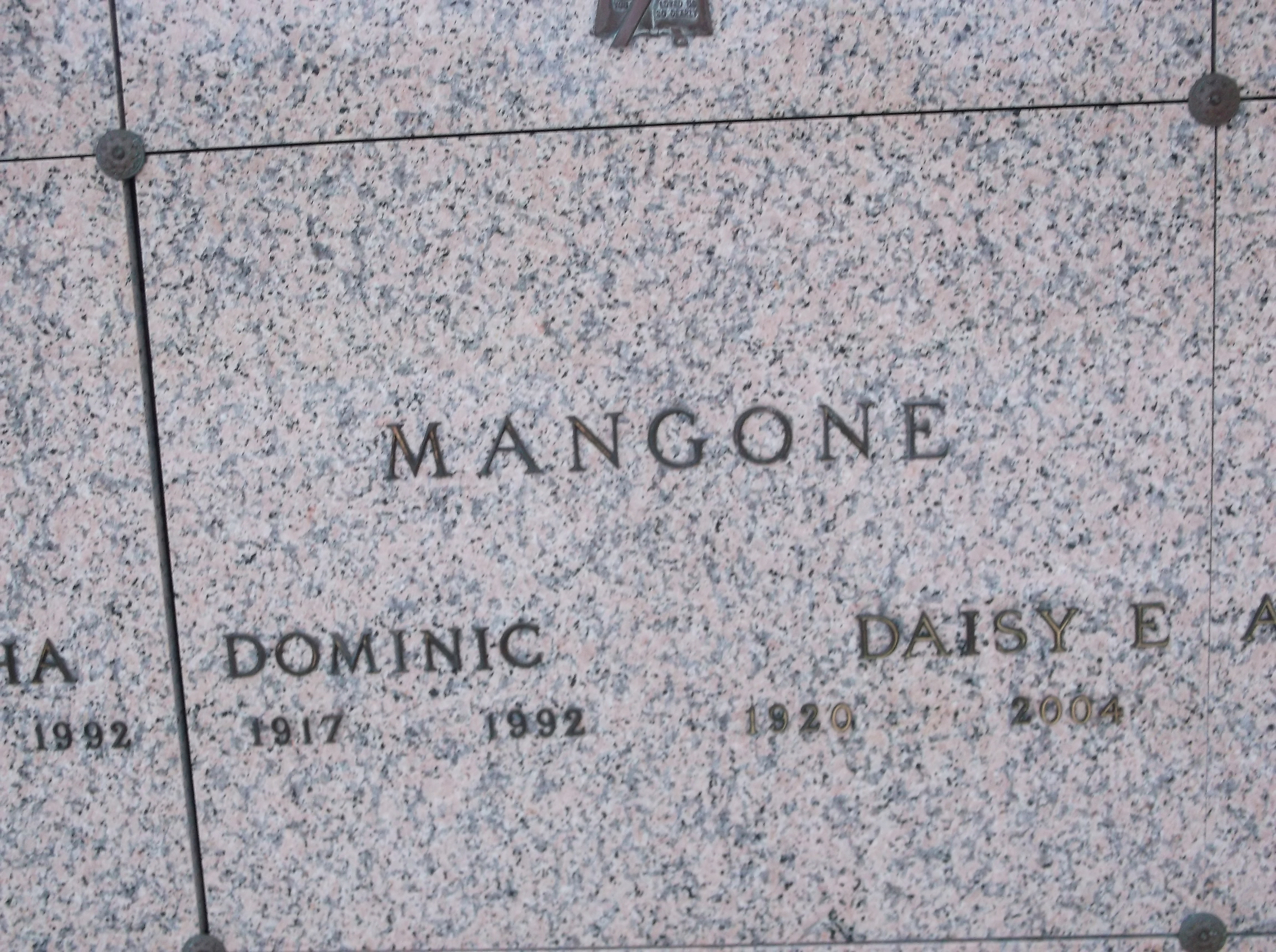 Daisy E Mangone