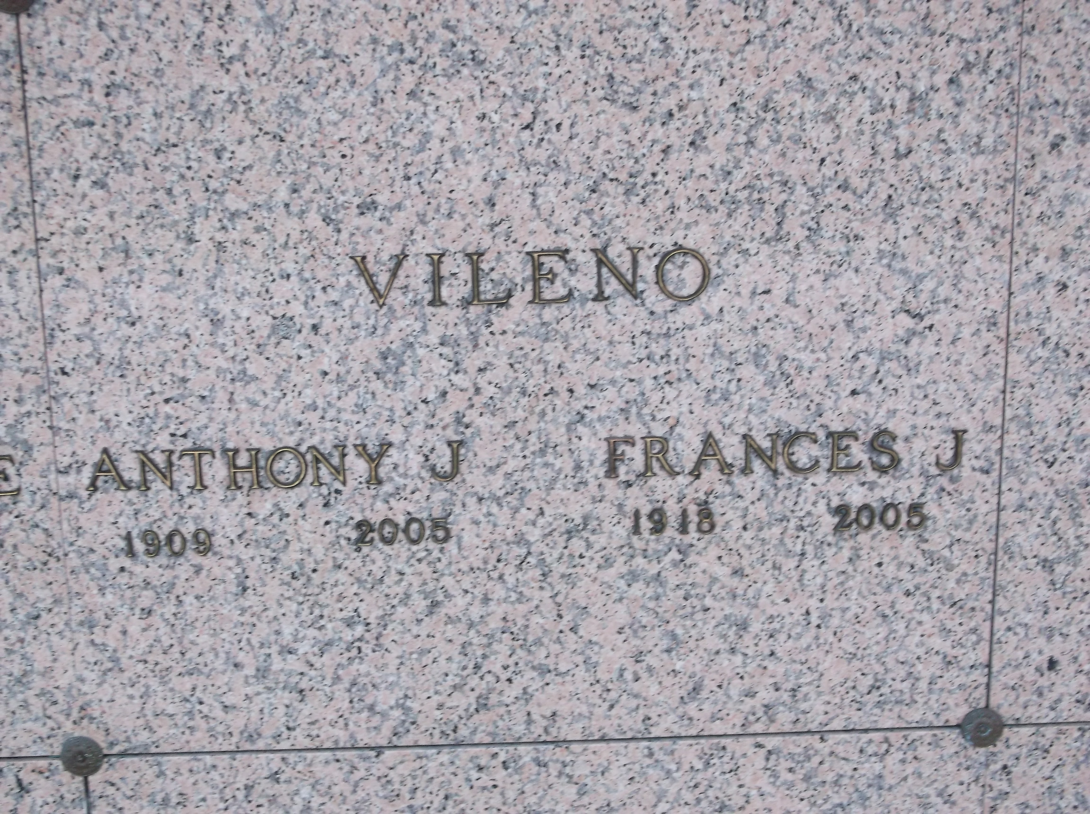 Anthony J Vileno